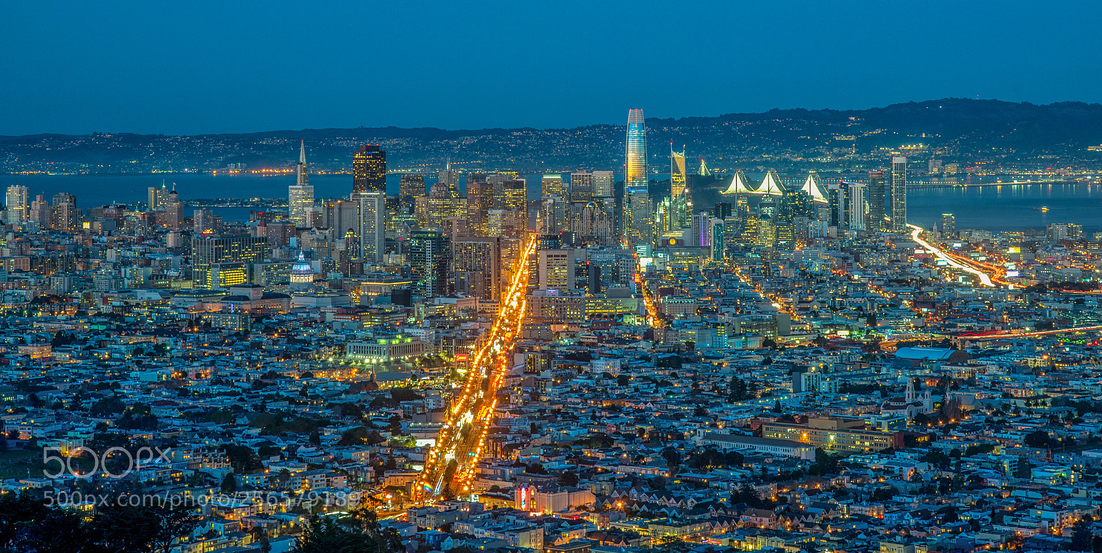 Nikon D600 sample photo. San francisco from twin photography