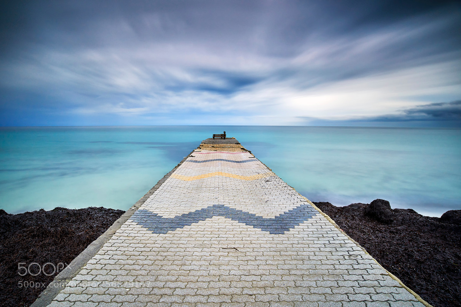 Nikon D800E sample photo. Seaweed & dock photography