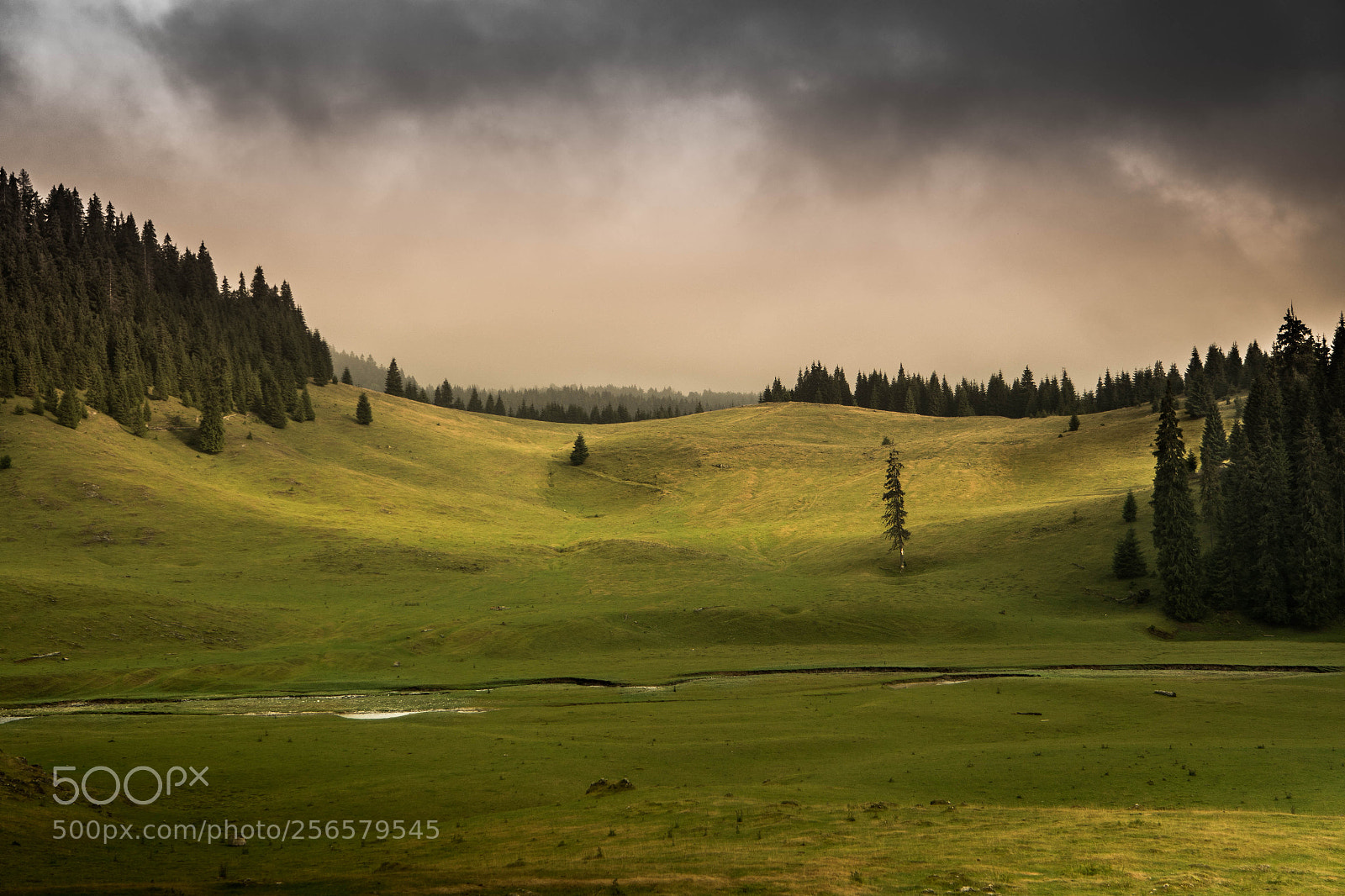 Samsung NX3000 sample photo. Ponor's meadow. poiana ponor photography