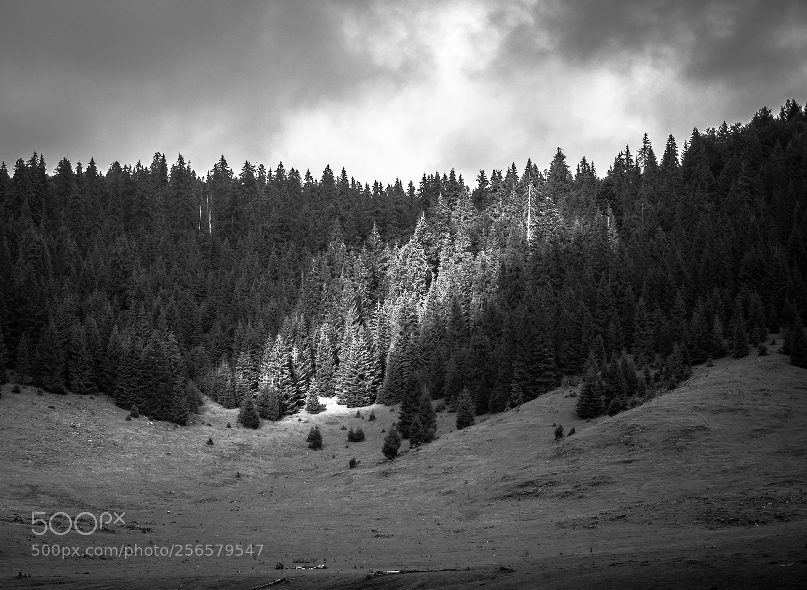 Samsung NX3000 sample photo. Black and white lanscape photography