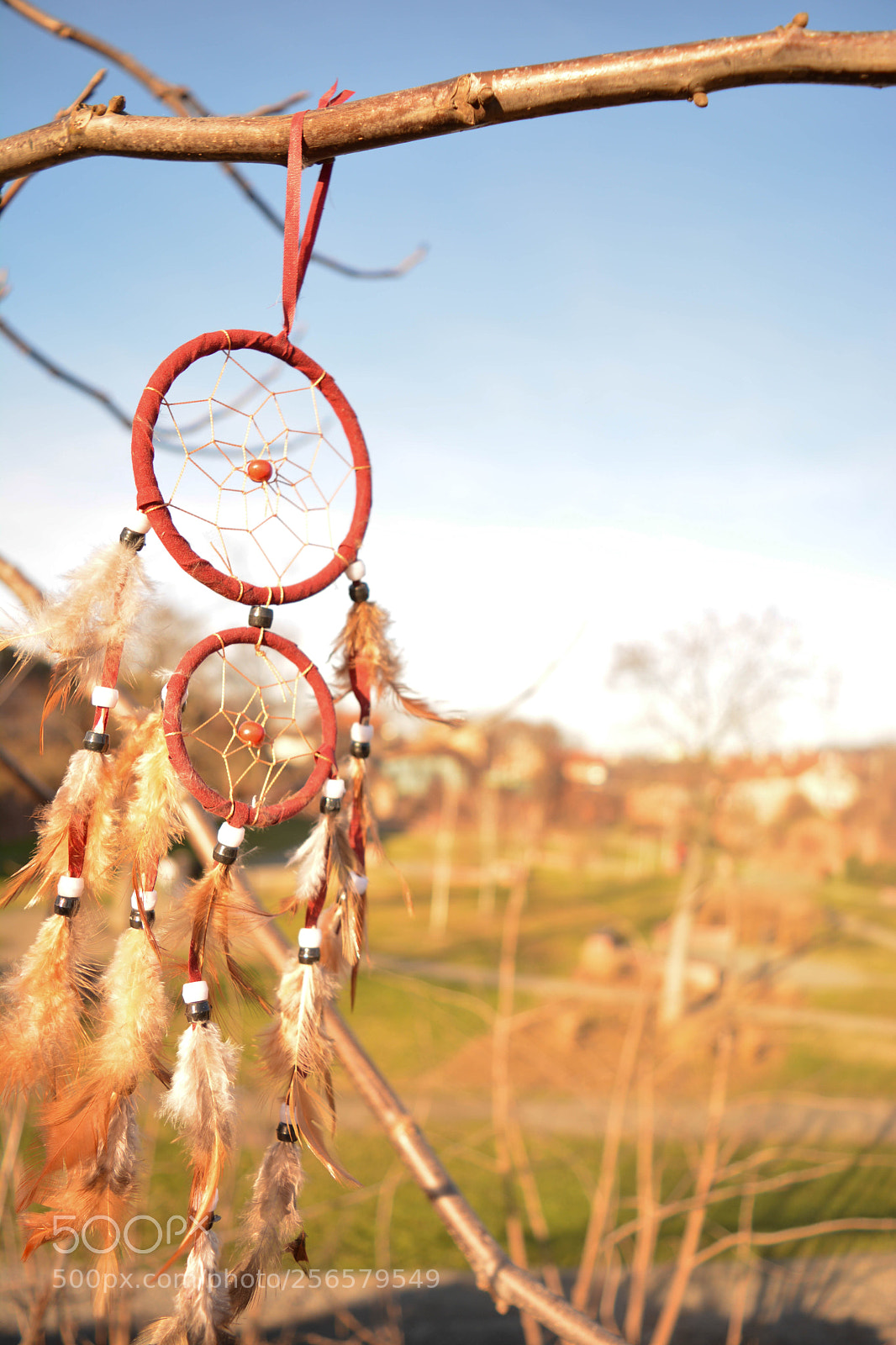 Nikon D5200 sample photo. The bad dream catcher photography