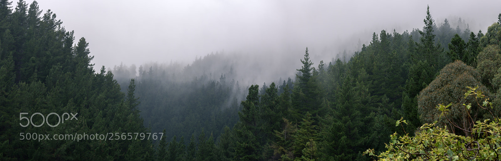 Canon EOS 6D sample photo. Clouds flowing through the photography