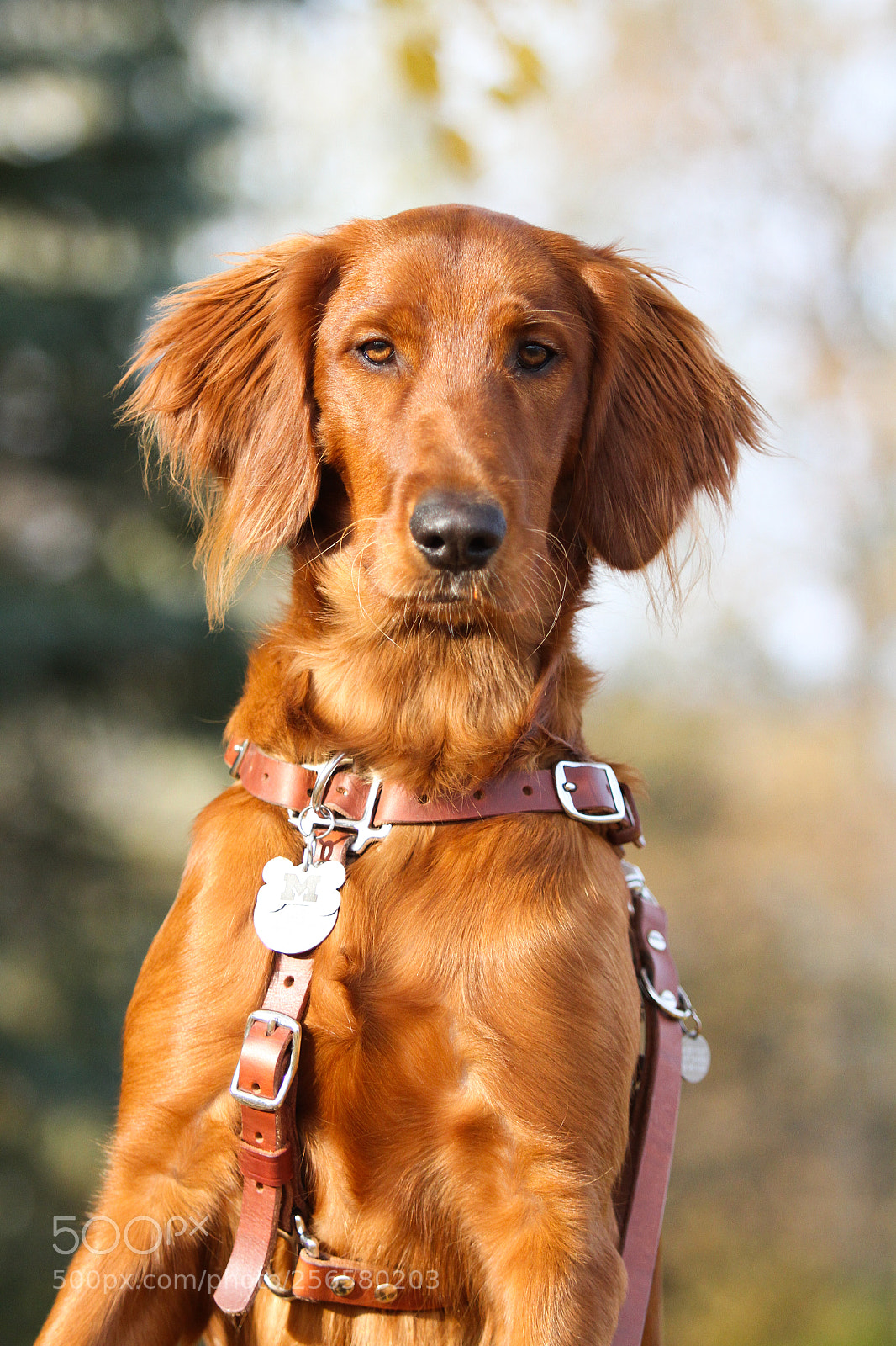 Canon EOS 7D sample photo. Focus photography