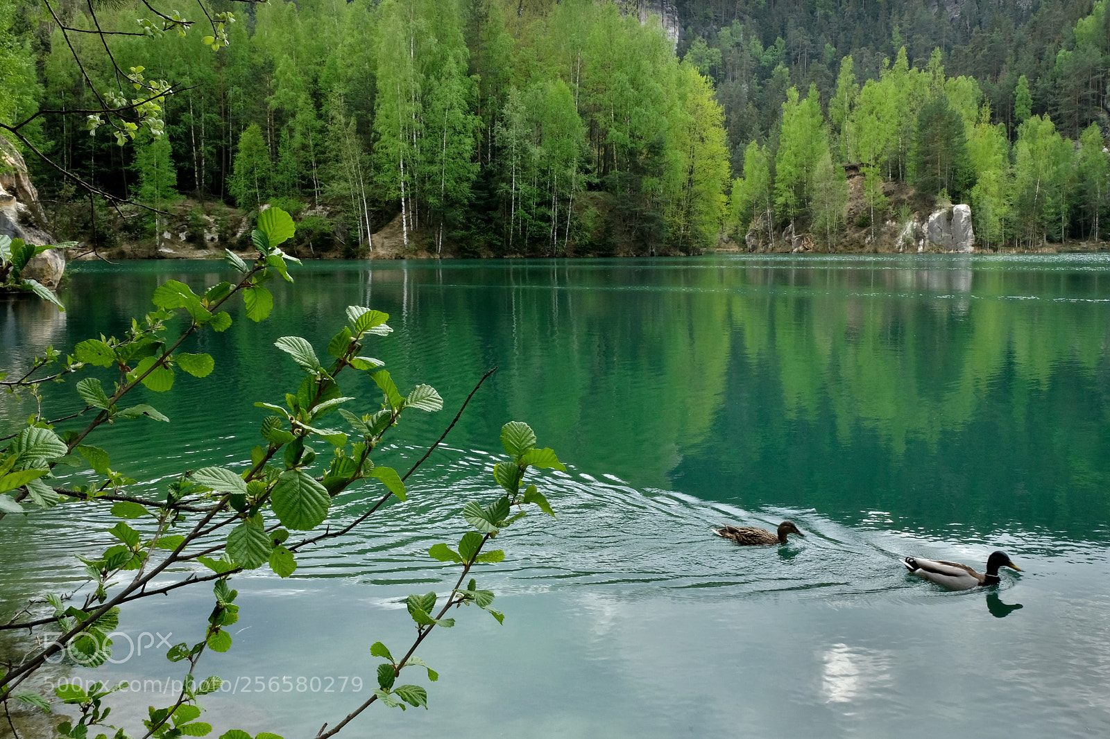 Fujifilm X-T20 sample photo. Adršpach jezero photography