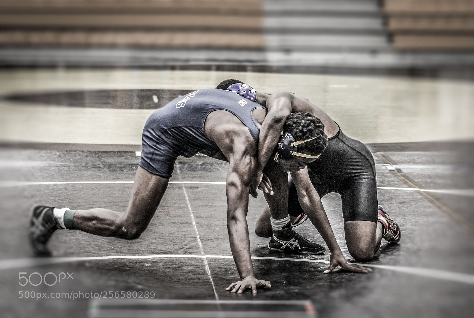 Canon EOS 550D (EOS Rebel T2i / EOS Kiss X4) sample photo. The wrestlers photography