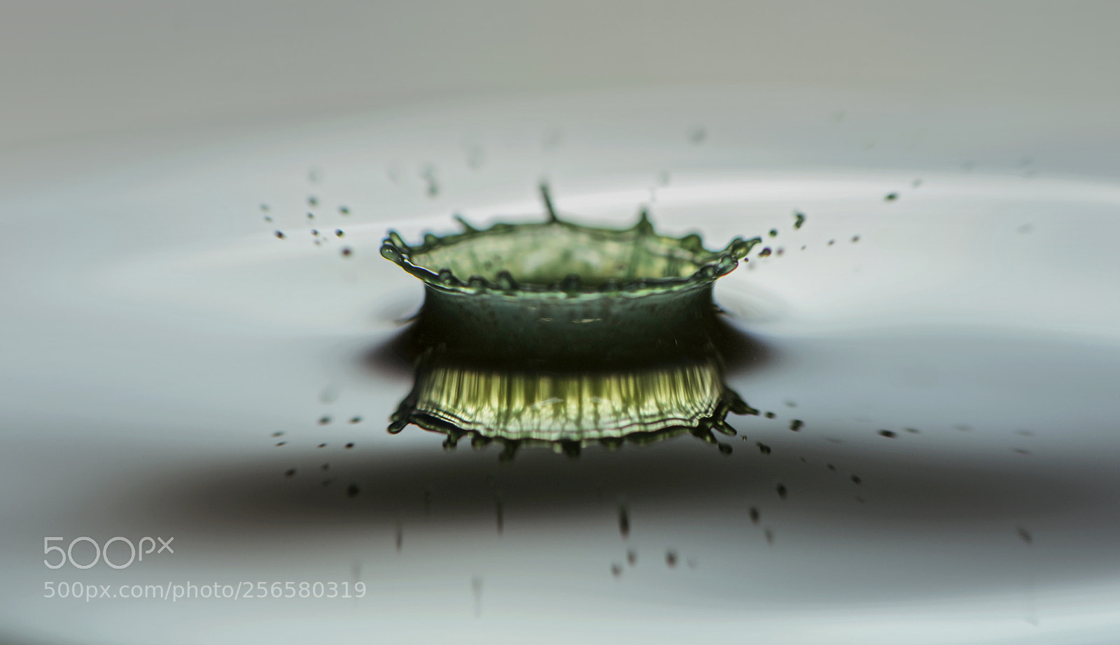 Nikon D810 sample photo. Water drop collision. photography