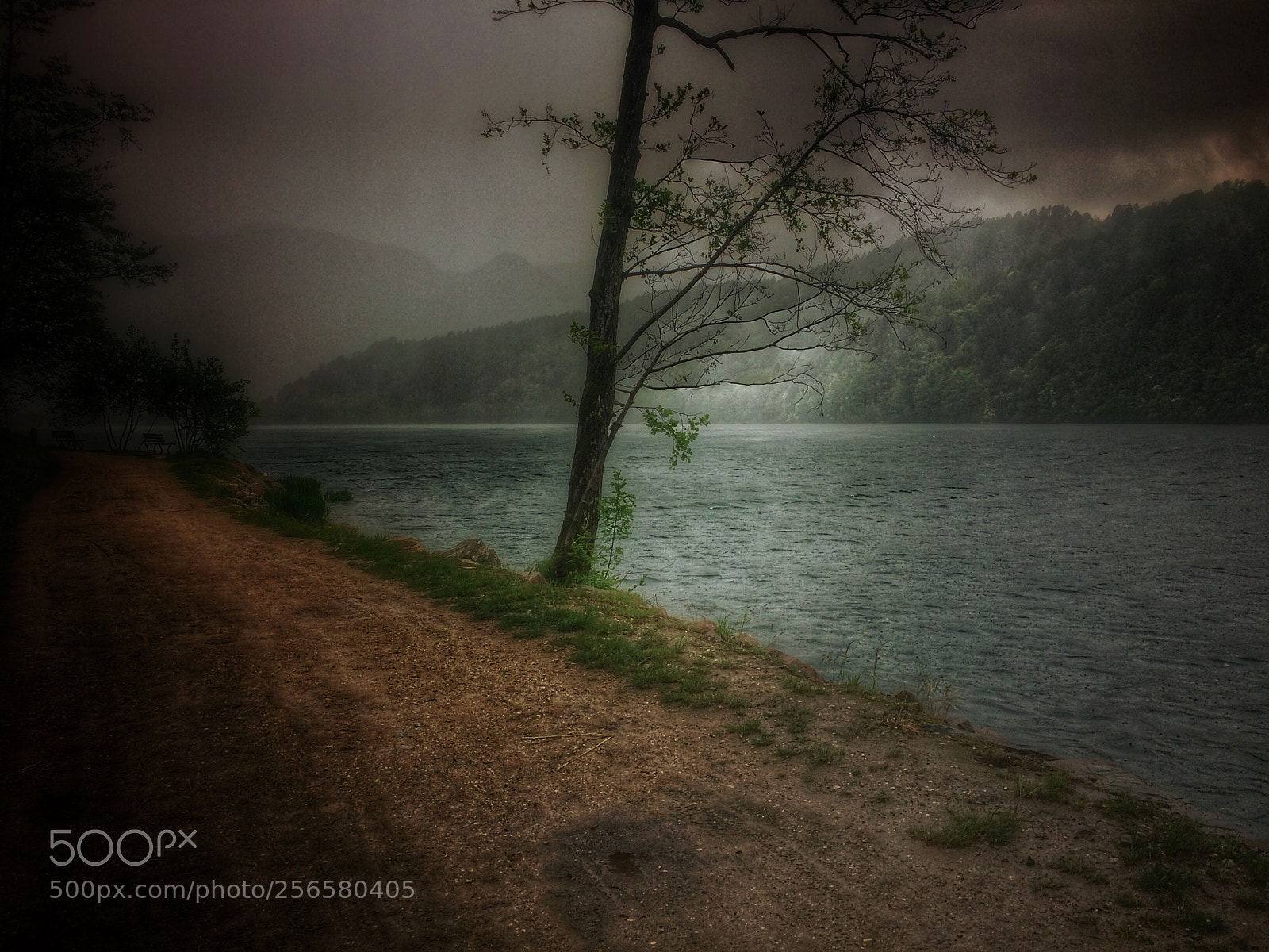 Apple iPhone 5s sample photo. Lake levico photography