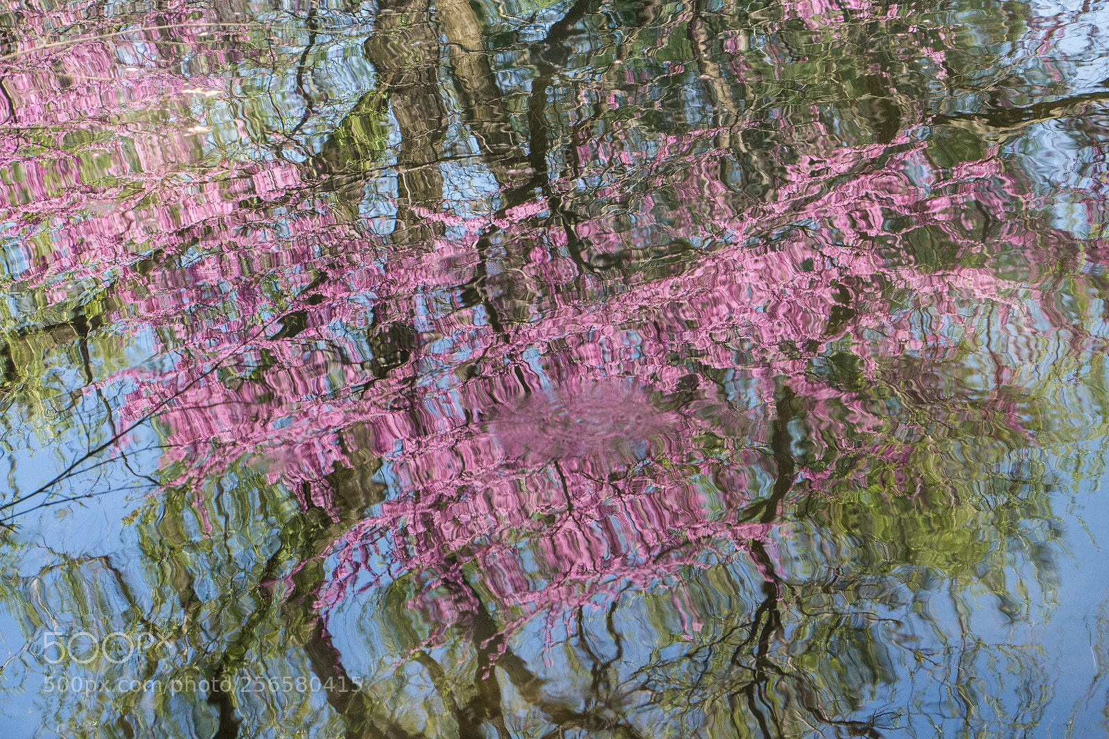 Canon EOS 700D (EOS Rebel T5i / EOS Kiss X7i) sample photo. Reflected photography