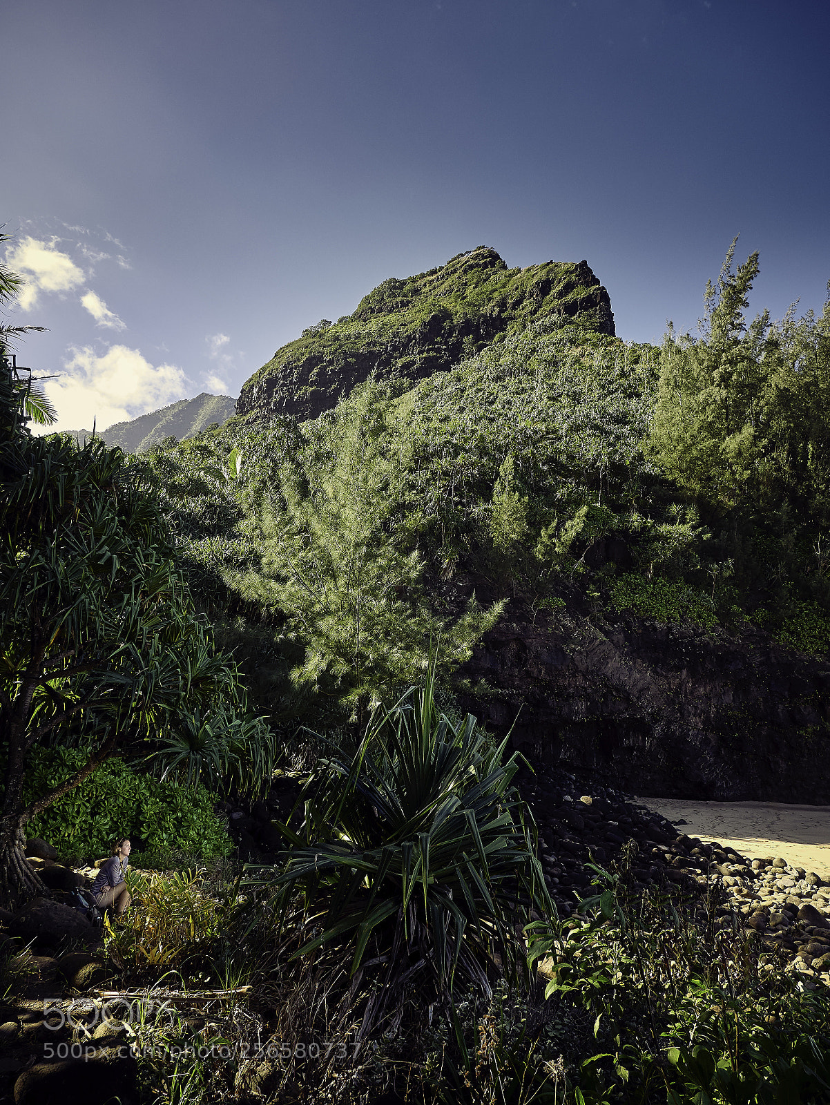 Panasonic Lumix DMC-G85 (Lumix DMC-G80) sample photo. Hawaiian coastline 5 photography
