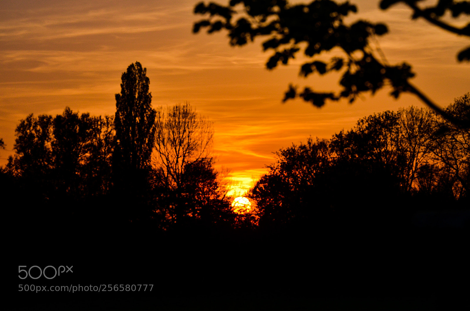 Nikon D5100 sample photo. Sunset photography