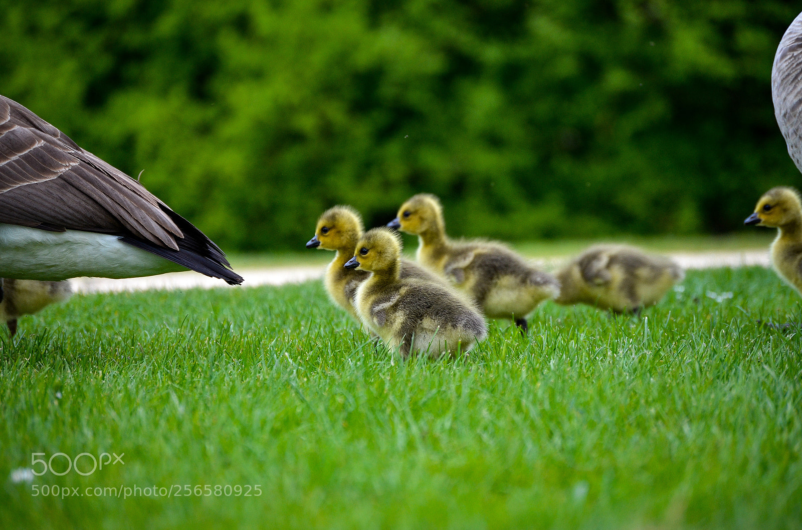 Nikon D5100 sample photo. Untitled photography