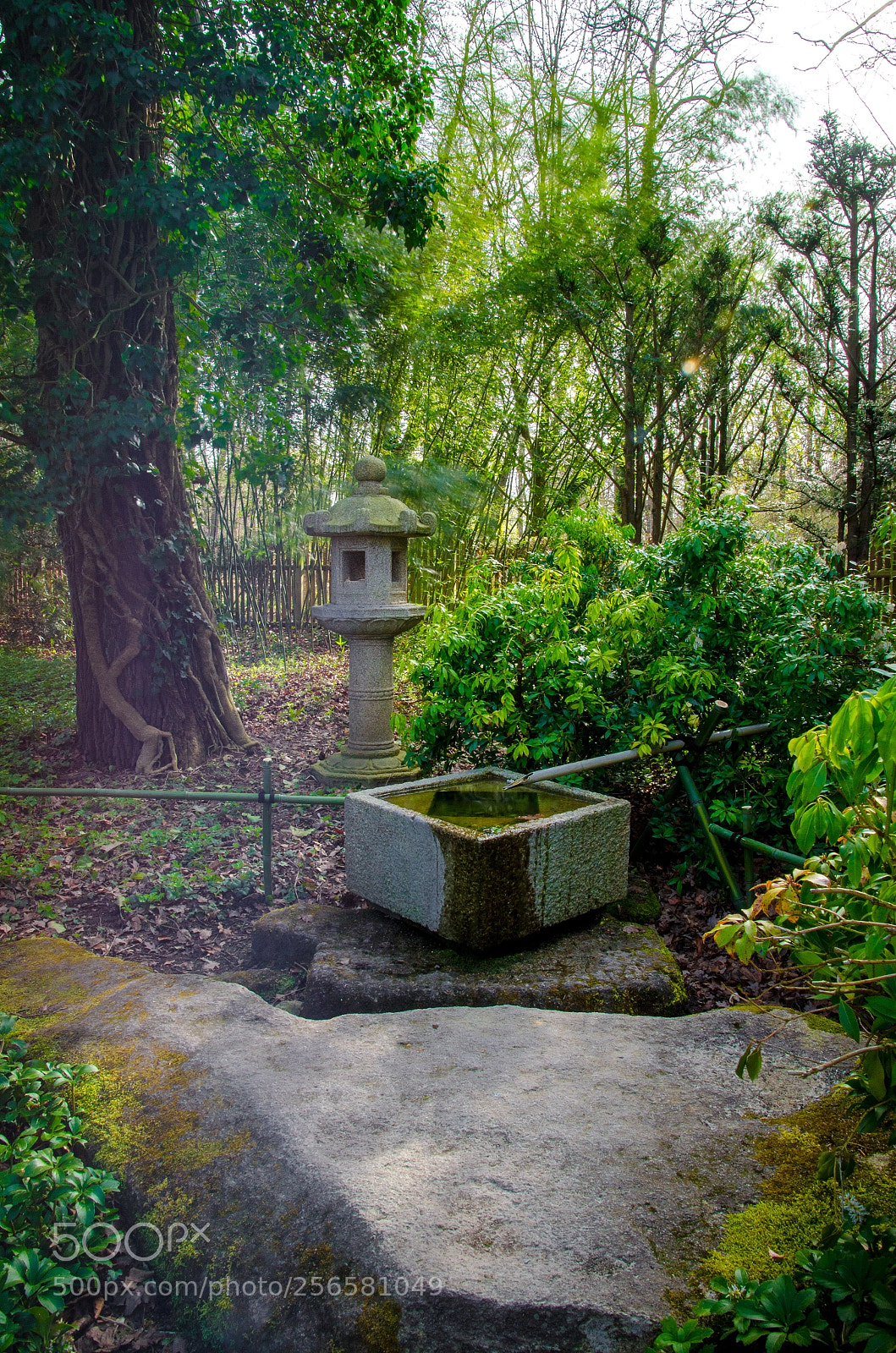 Nikon D5100 sample photo. Zen photography