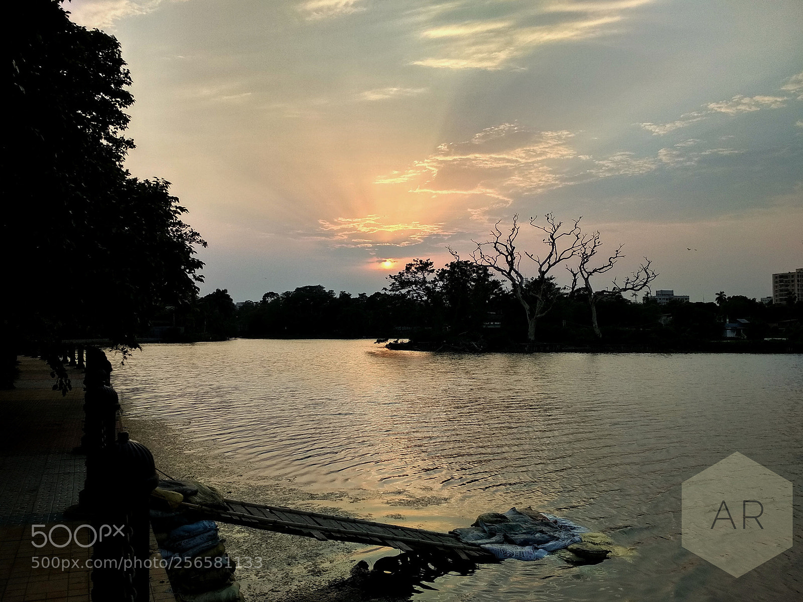 Xiaomi Redmi 4 Pro sample photo. Ne'er saw i, never photography