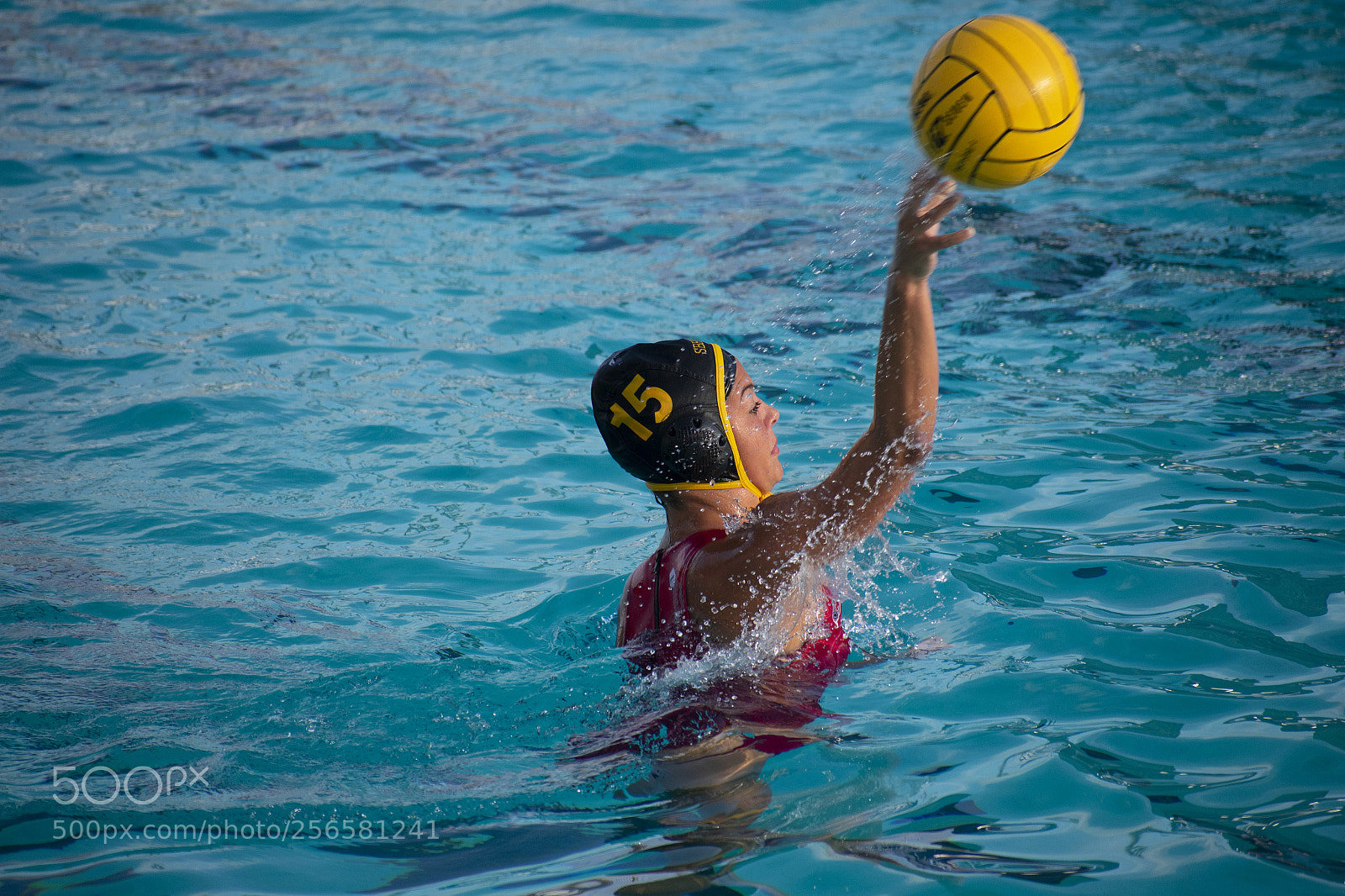 Nikon D3400 sample photo. Copy photography