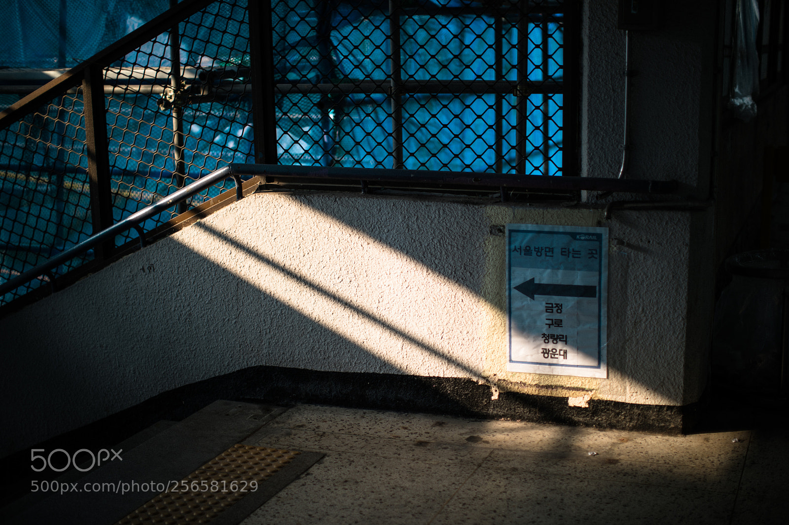 Canon EOS 5D Mark IV sample photo. Light photography