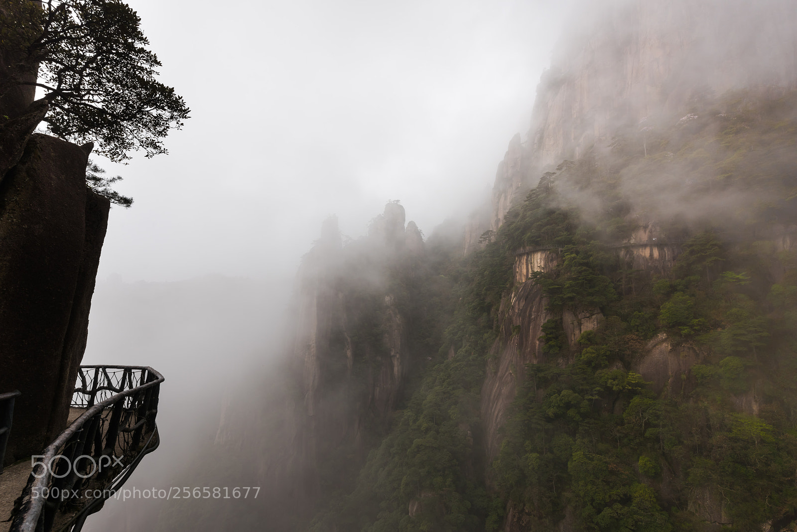 Nikon D810 sample photo. 无言谁会凭栏意sanqing mountains photography