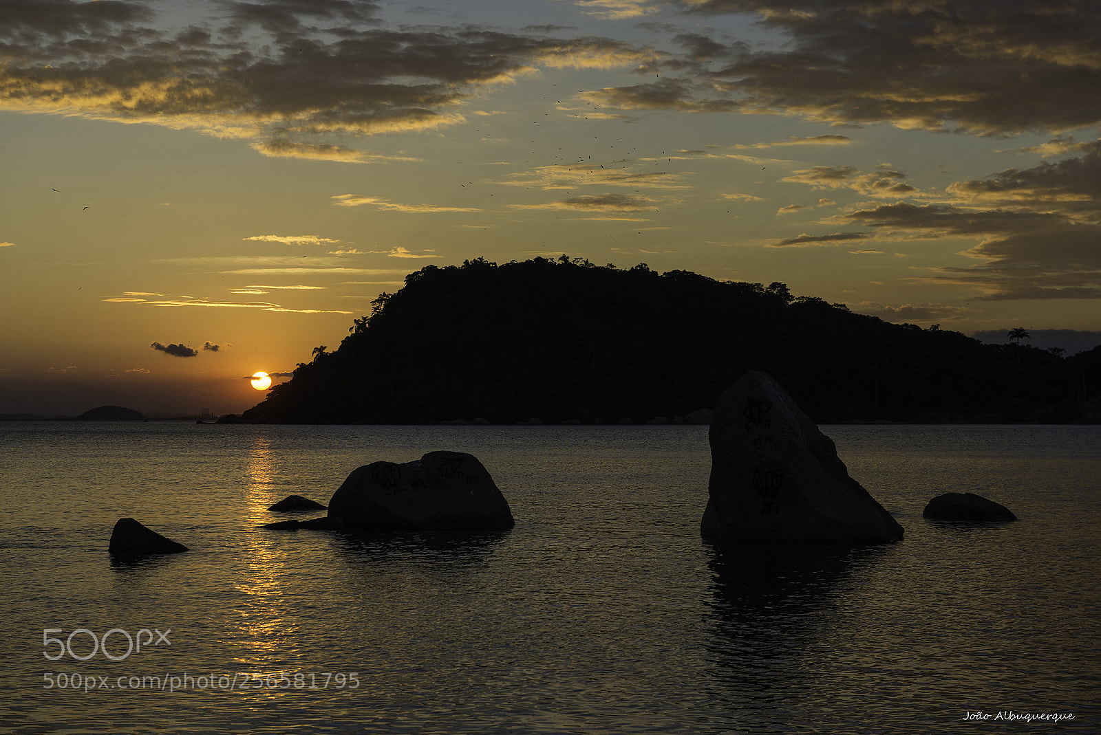 Nikon D600 sample photo. Sunset in paquetá island photography