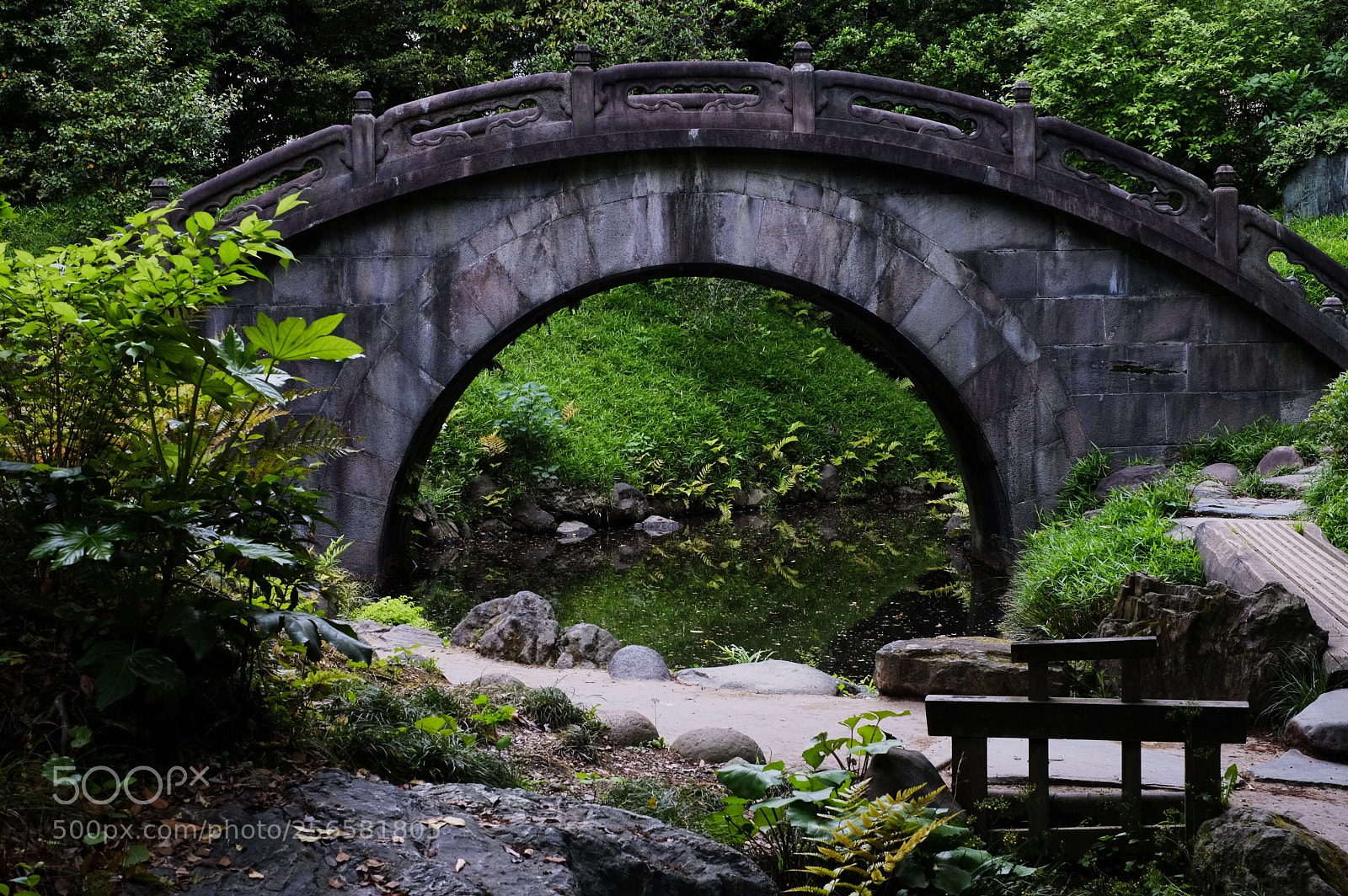 Fujifilm X-T2 sample photo. Forest bridge photography