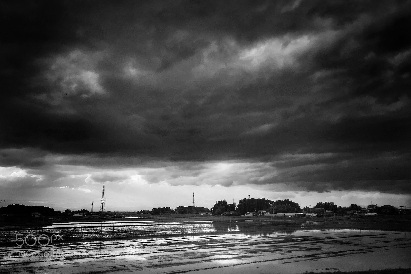 Apple iPhone 7 Plus sample photo. Rice field 180506 photography