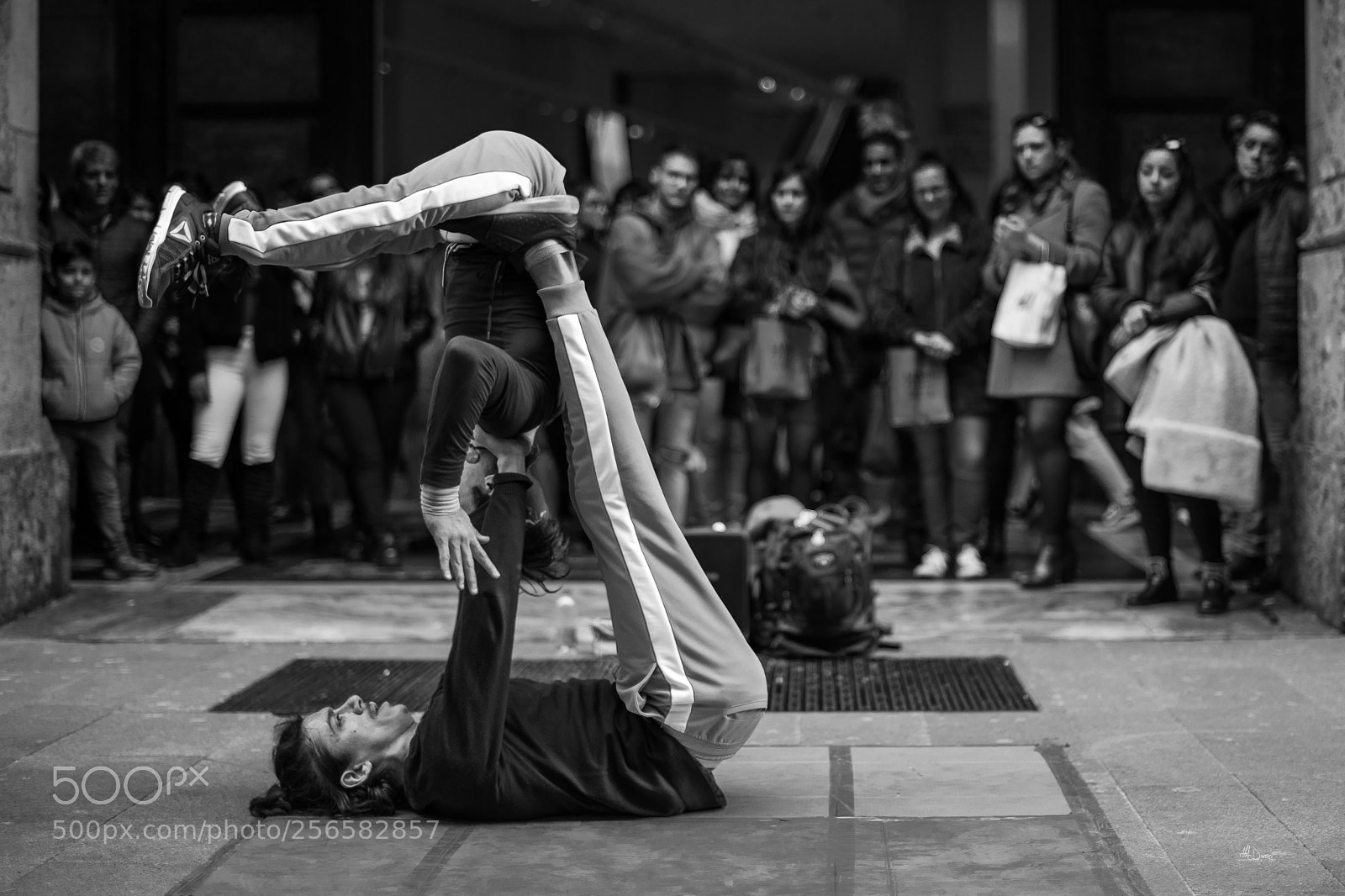 Nikon D810 sample photo. Audience photography