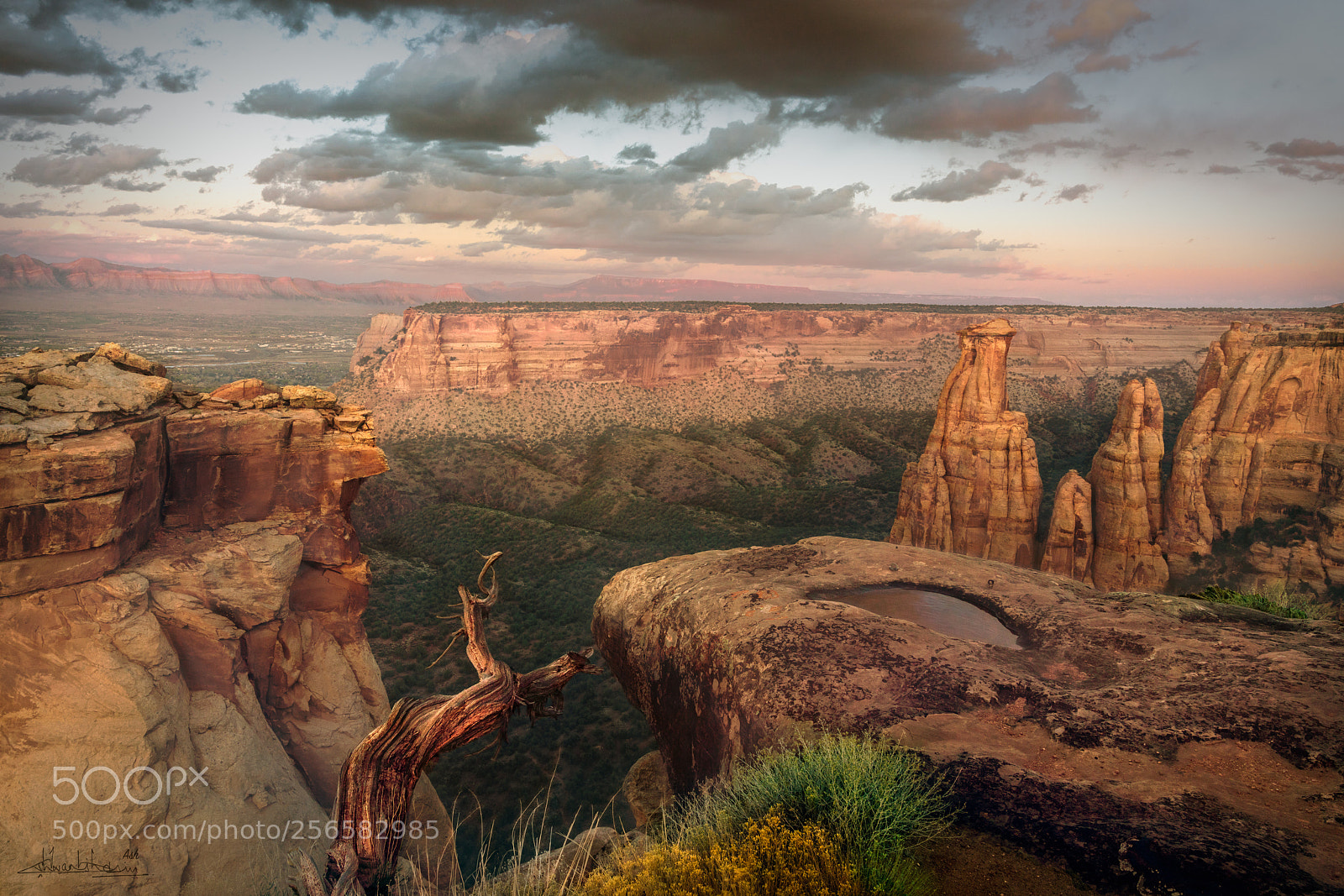 Sony a7R III sample photo. Grand junction photography