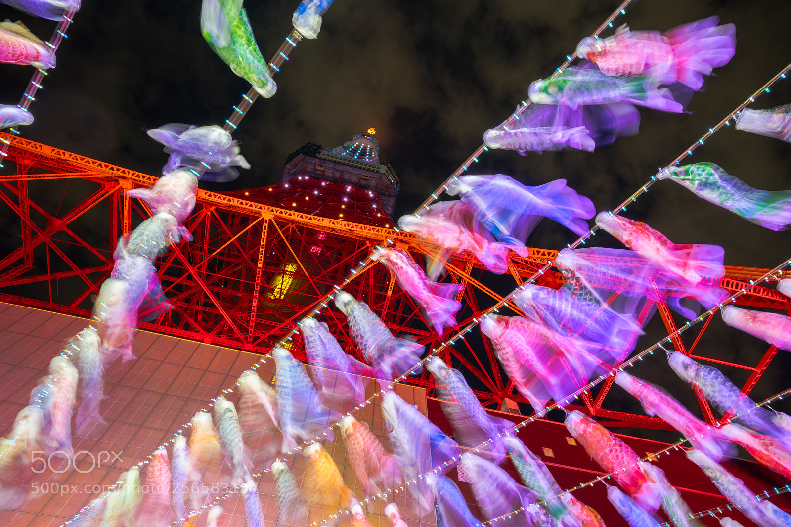 Sony a7 II sample photo. Tokyo tower and carp-shaped photography