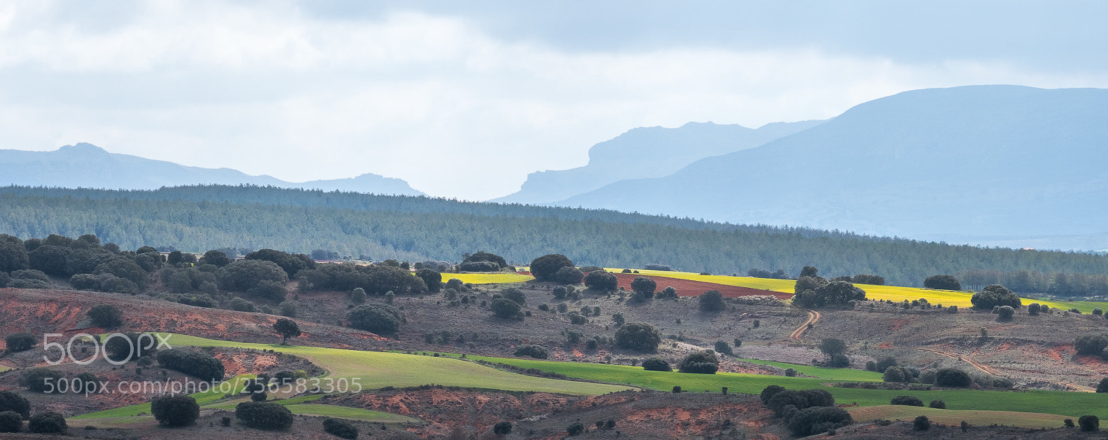 Fujifilm X-T2 sample photo. Paisajes castellanos photography