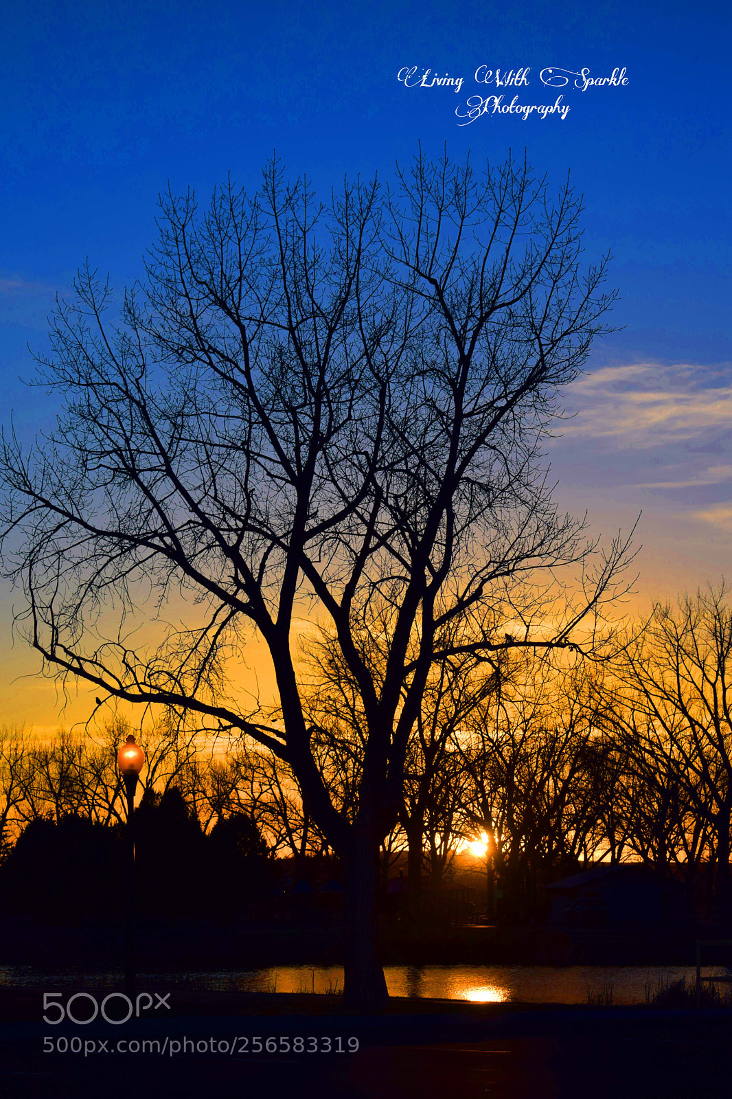 Nikon D5300 sample photo. Untitled photography