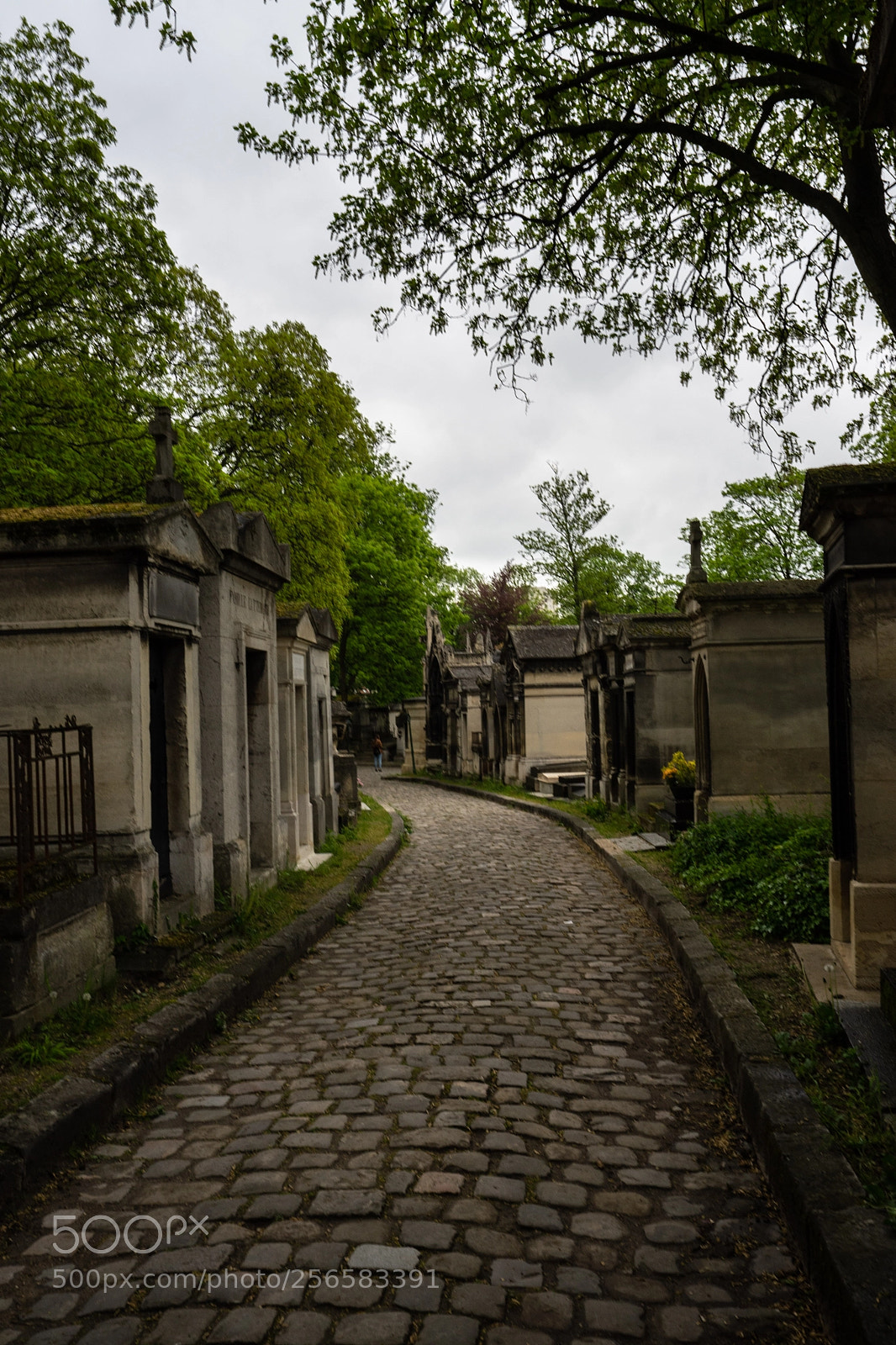 Sony a7 II sample photo. Pere lachaise photography