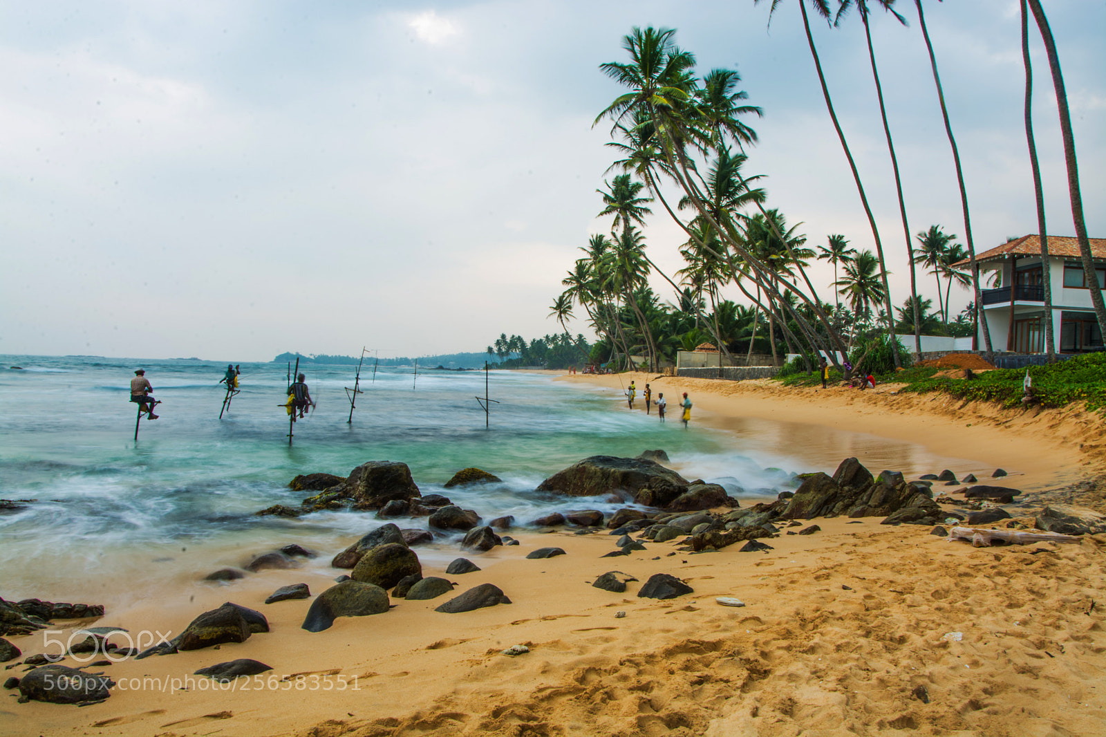 Nikon D7100 sample photo. Untitled photography