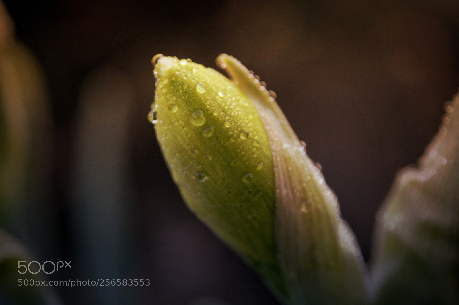 Samsung NX300 sample photo. Untitled photography