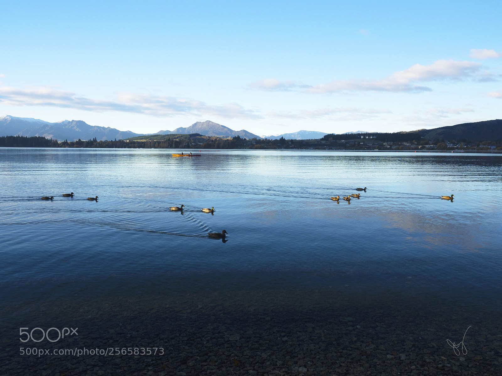 Olympus OM-D E-M1 sample photo. Golden hour at wanaka photography