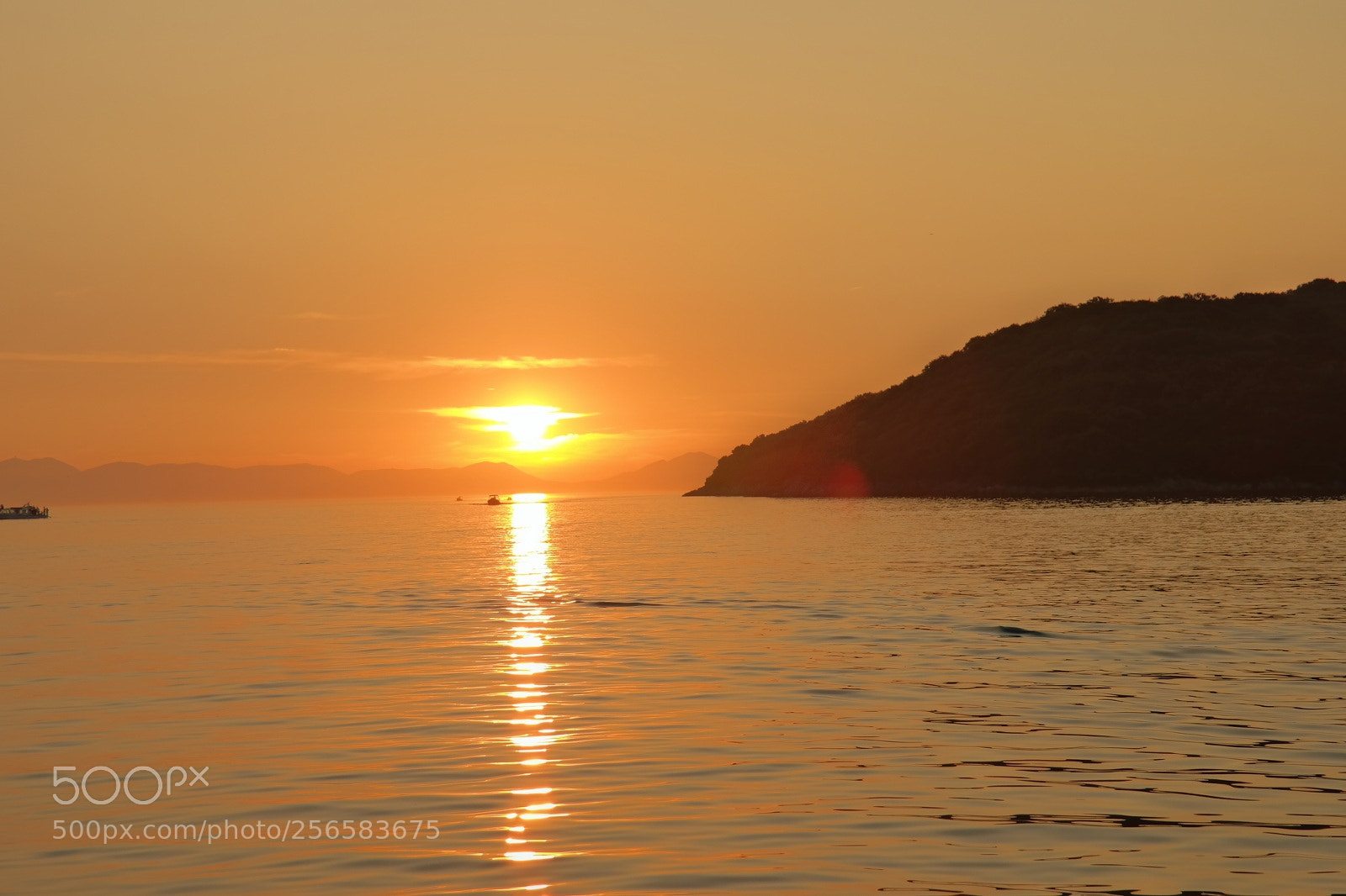 Samsung NX300 sample photo. Golden rapsody... photography
