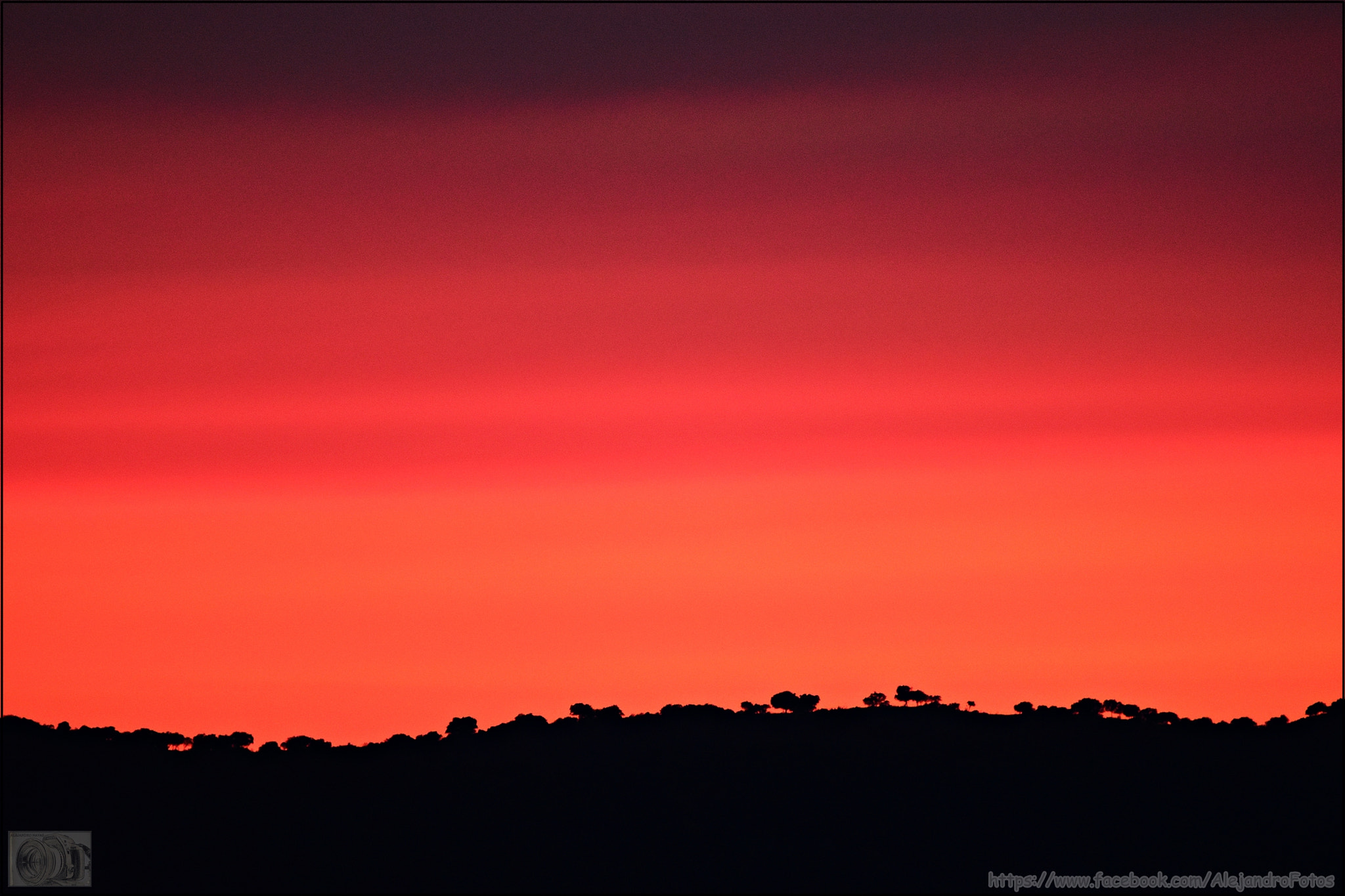 Nikon D5500 sample photo. Rojo fuego photography