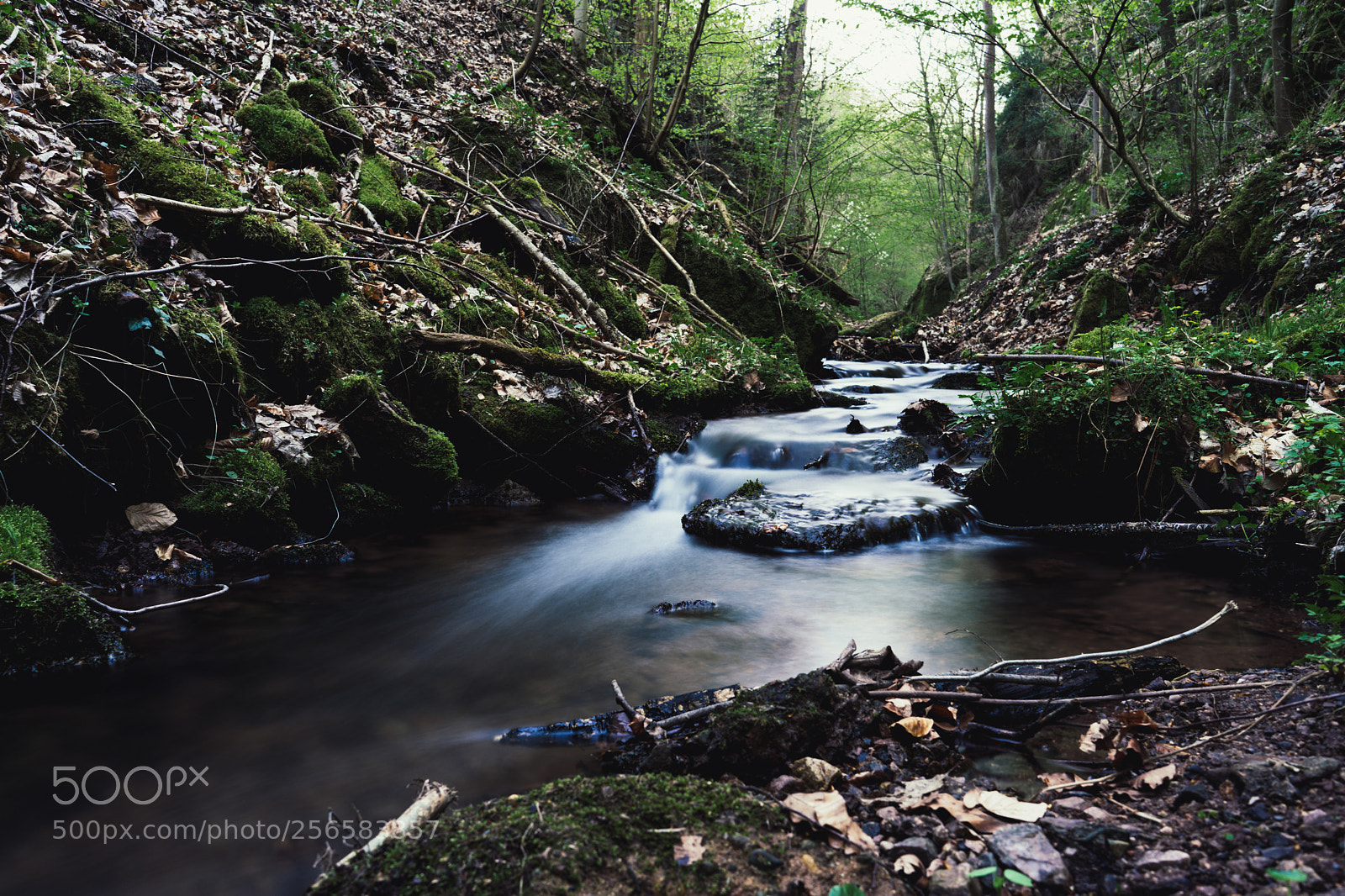 Sony a7 II sample photo. Drachenschlucht photography
