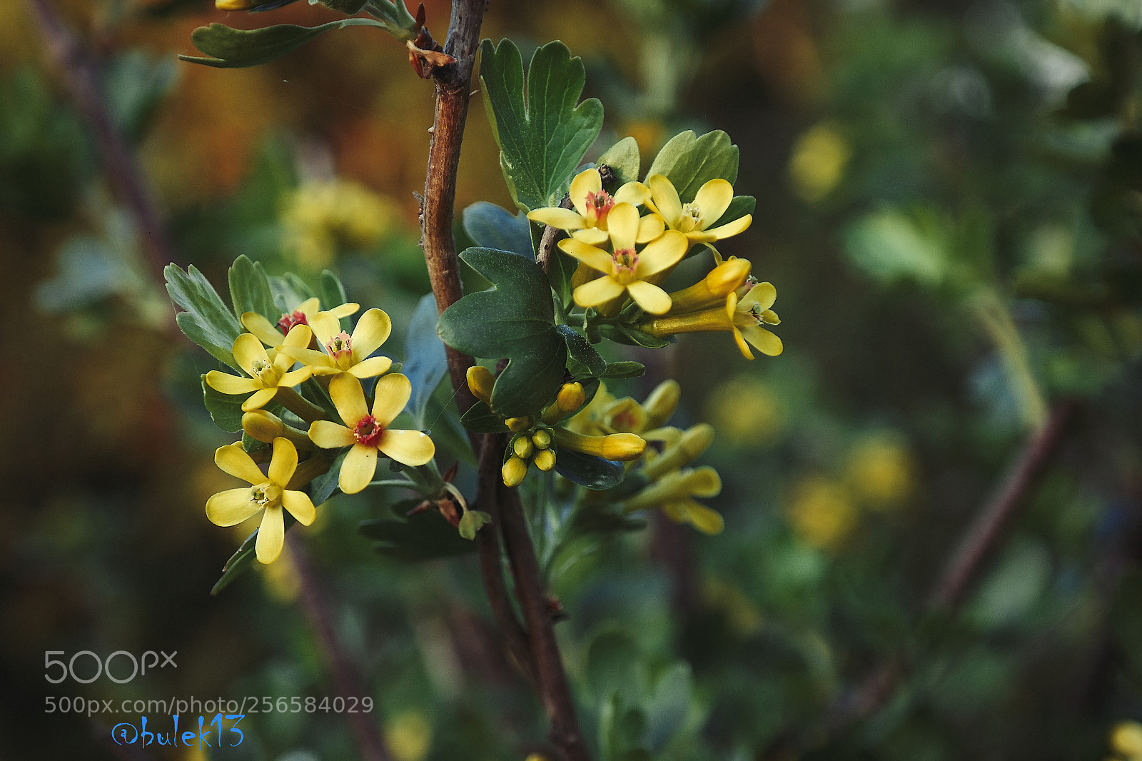 Samsung NX300 sample photo. Untitled photography