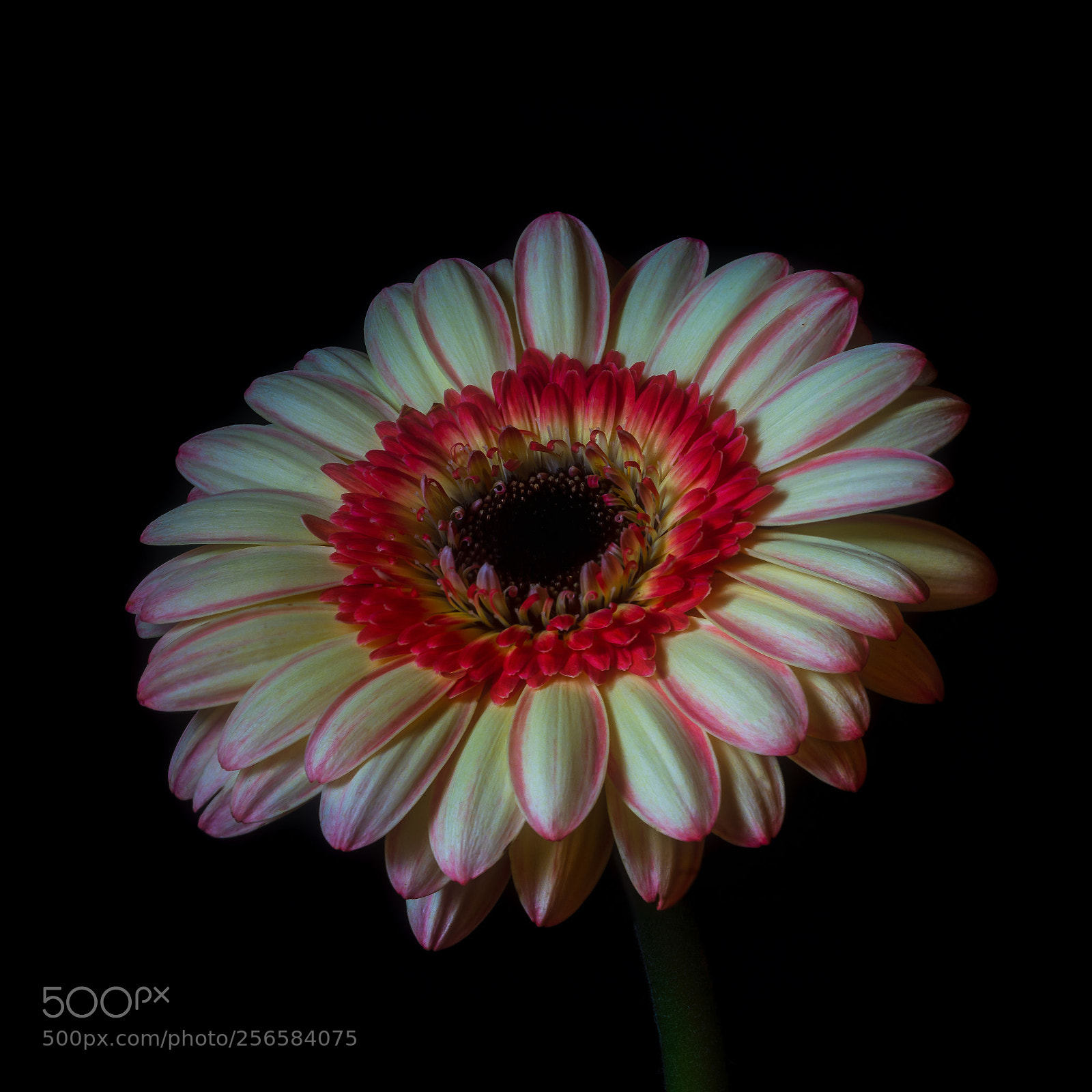 Sony a7R II sample photo. Black hole photography