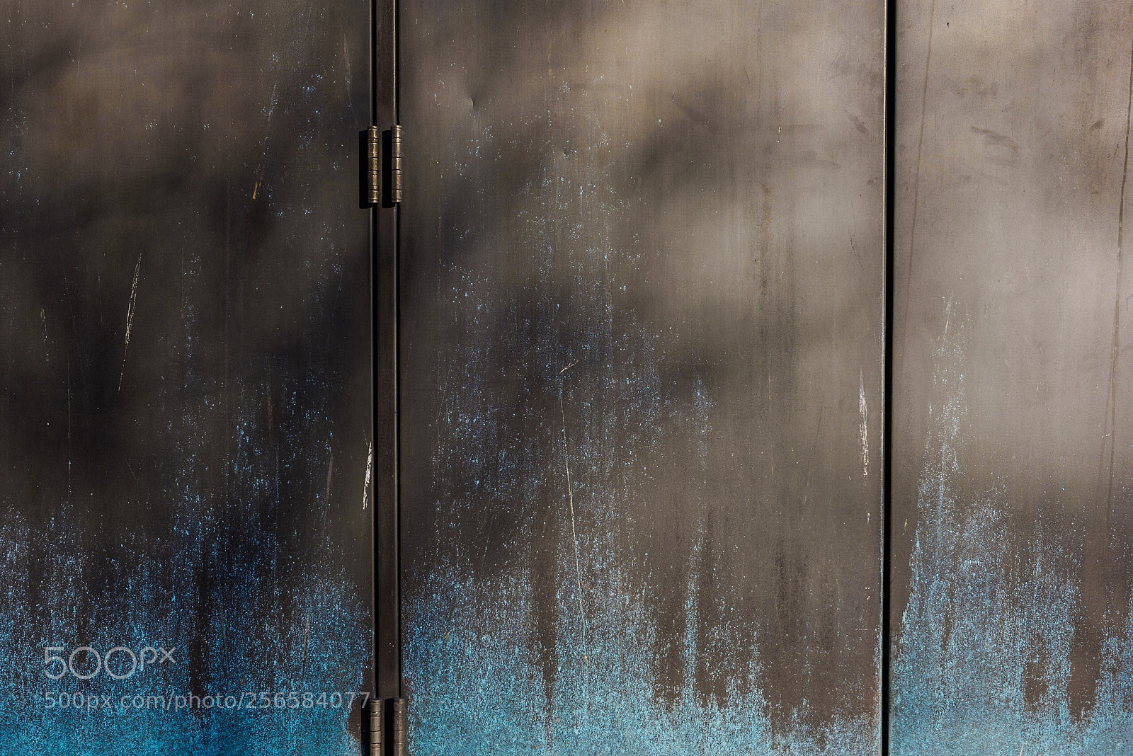 Nikon D810 sample photo. Bronze and blue photography
