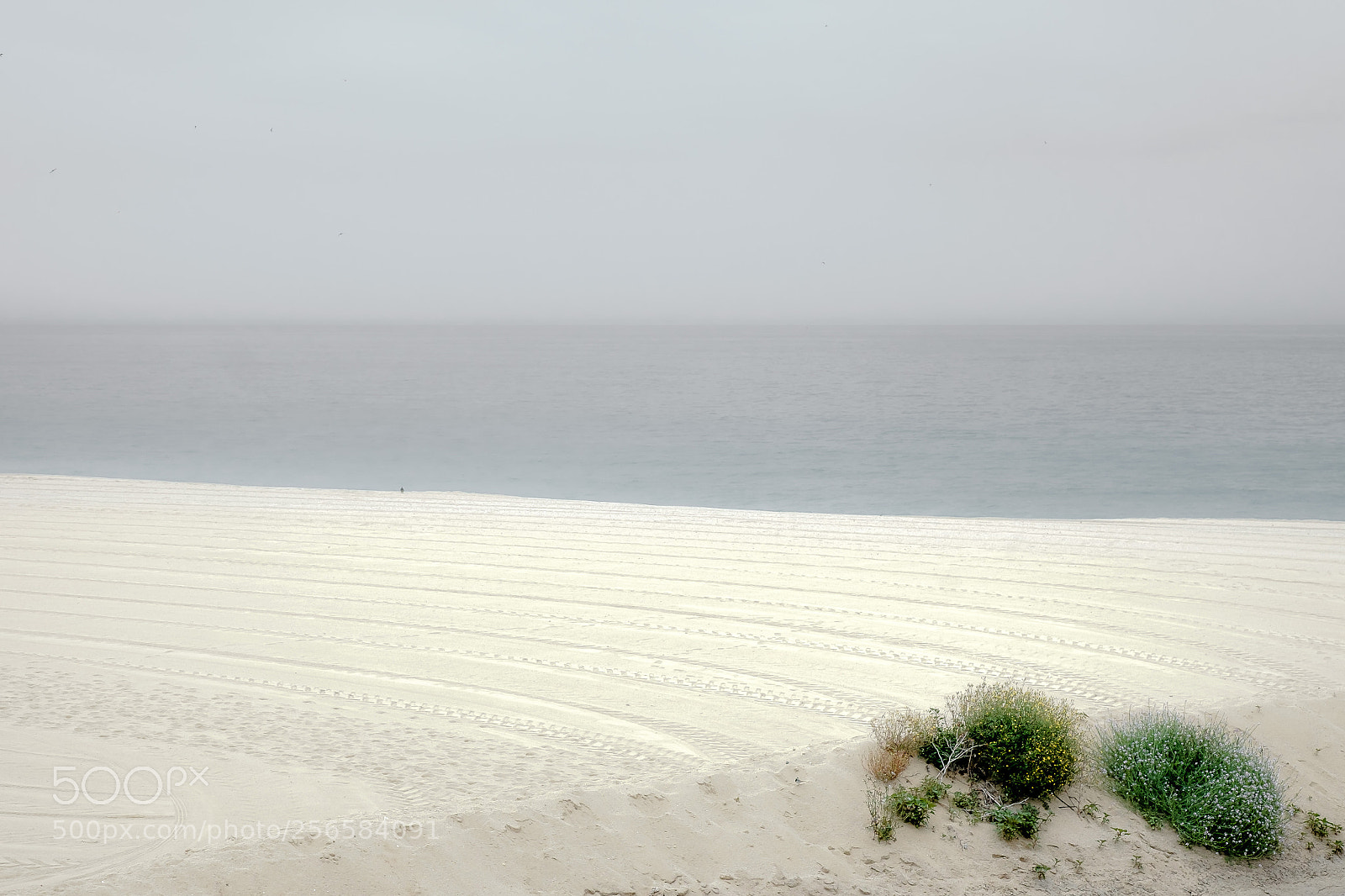 Fujifilm X-T10 sample photo. _dsf0032-2.jpg photography