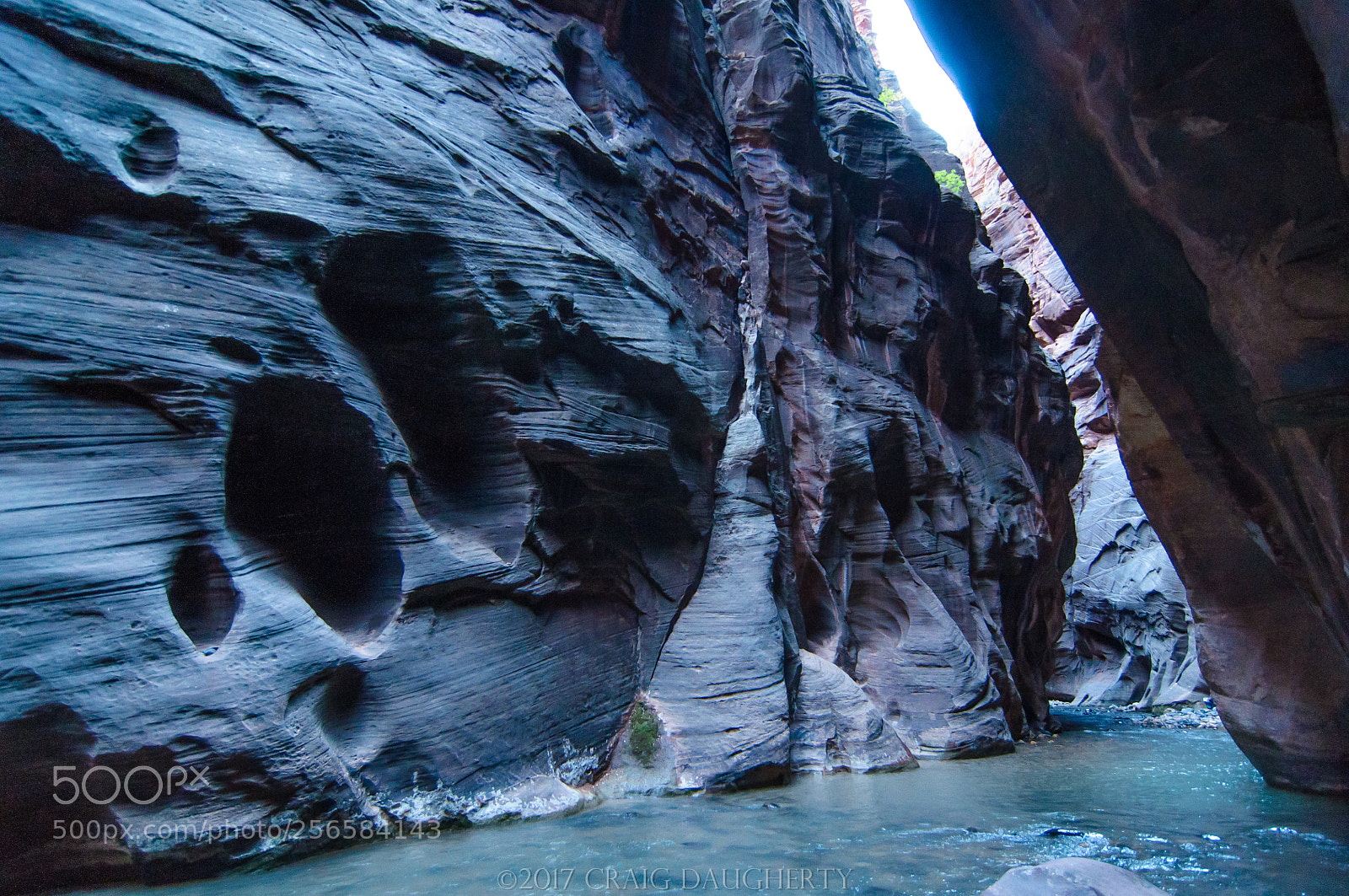 Nikon D90 sample photo. Zion nat pk, virgin photography