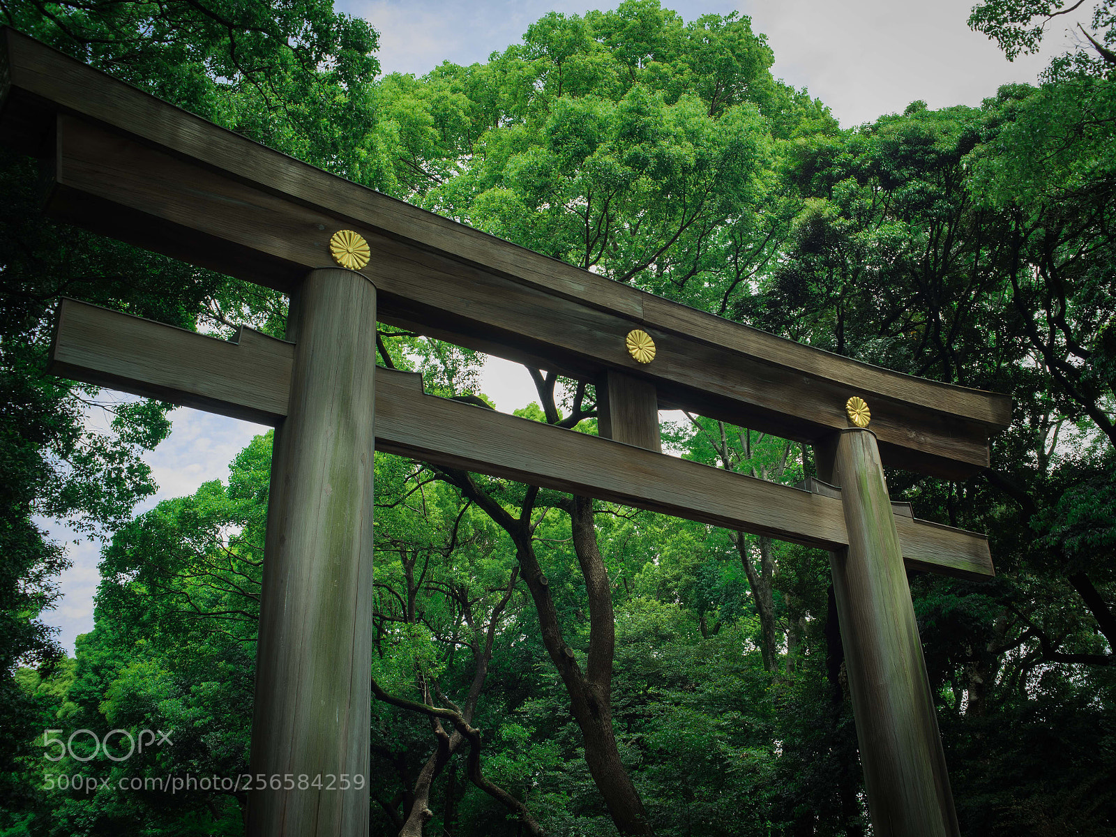 Nikon D750 sample photo. Torii photography
