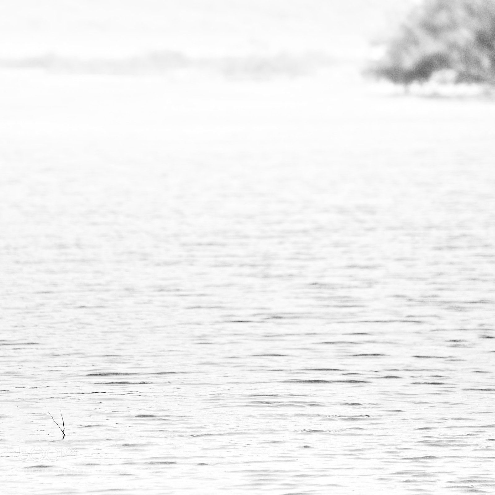 Fujifilm X-T2 sample photo. On the lake photography