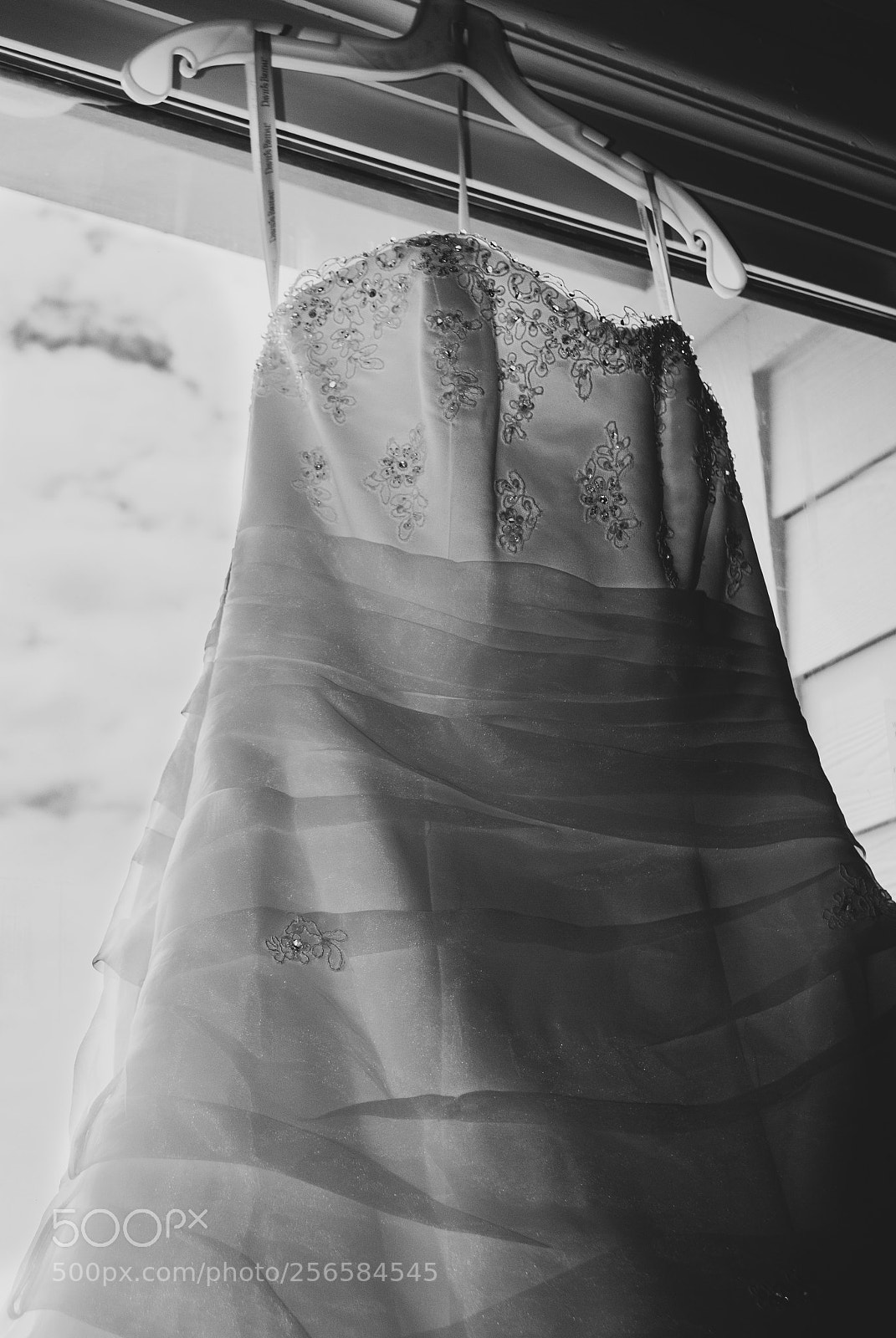 Nikon D3000 sample photo. Untitled photography