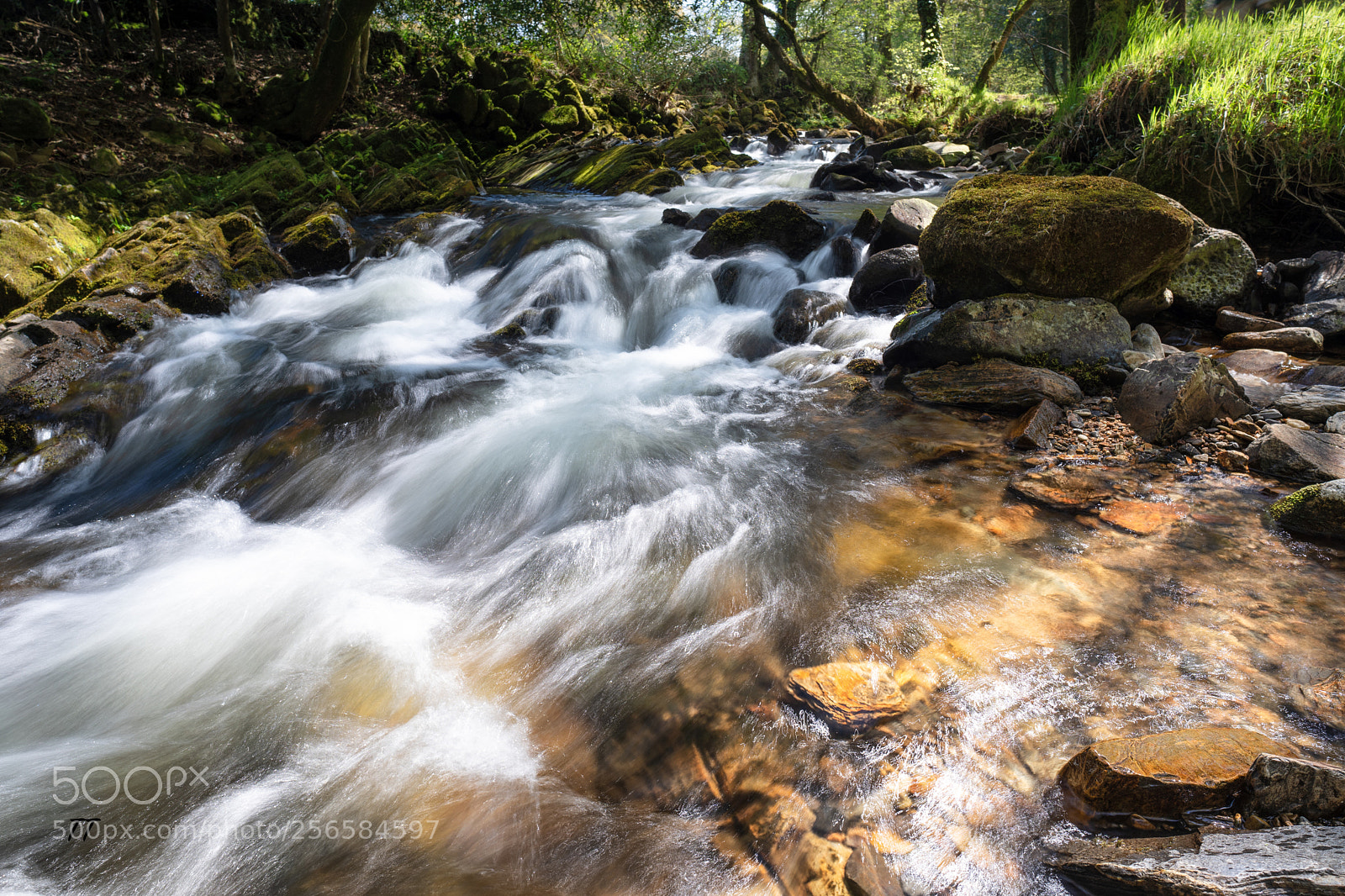 Sony a7 III sample photo. East oakment river photography