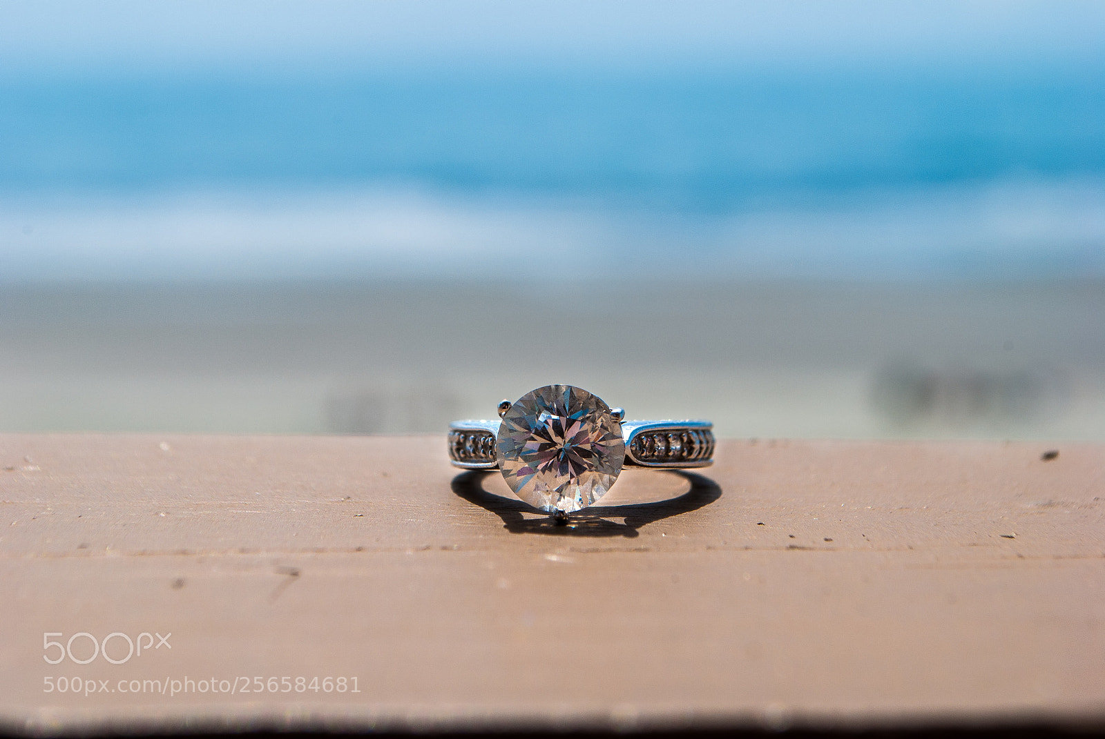 Nikon D3000 sample photo. Untitled photography