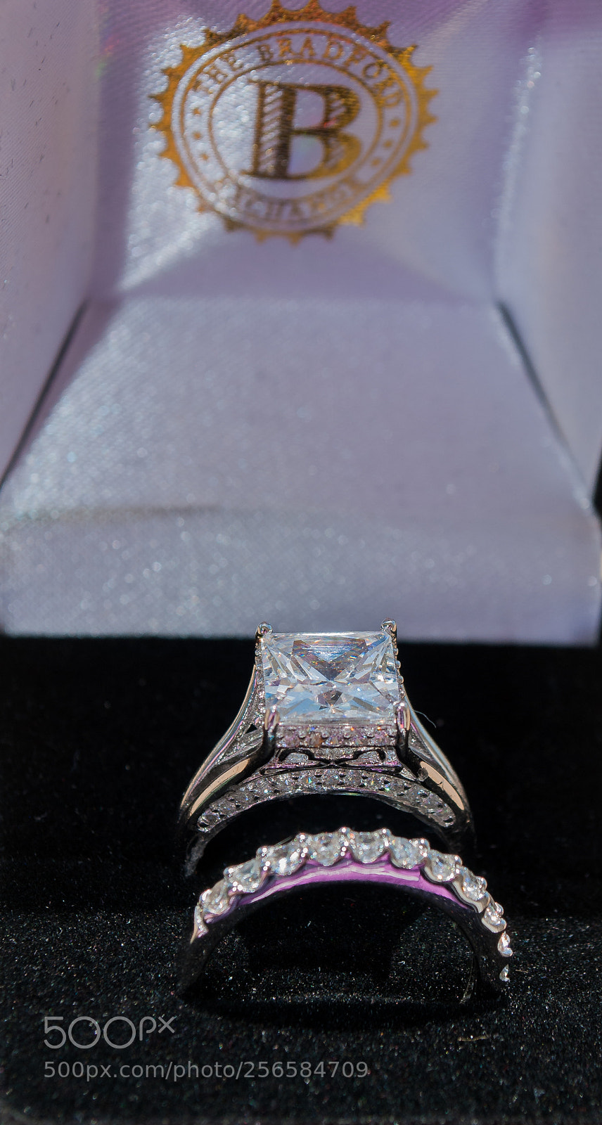 Nikon D3000 sample photo. Untitled photography
