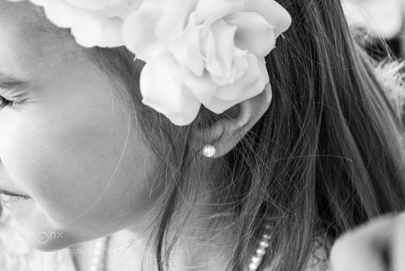 Nikon D3000 sample photo. Untitled photography