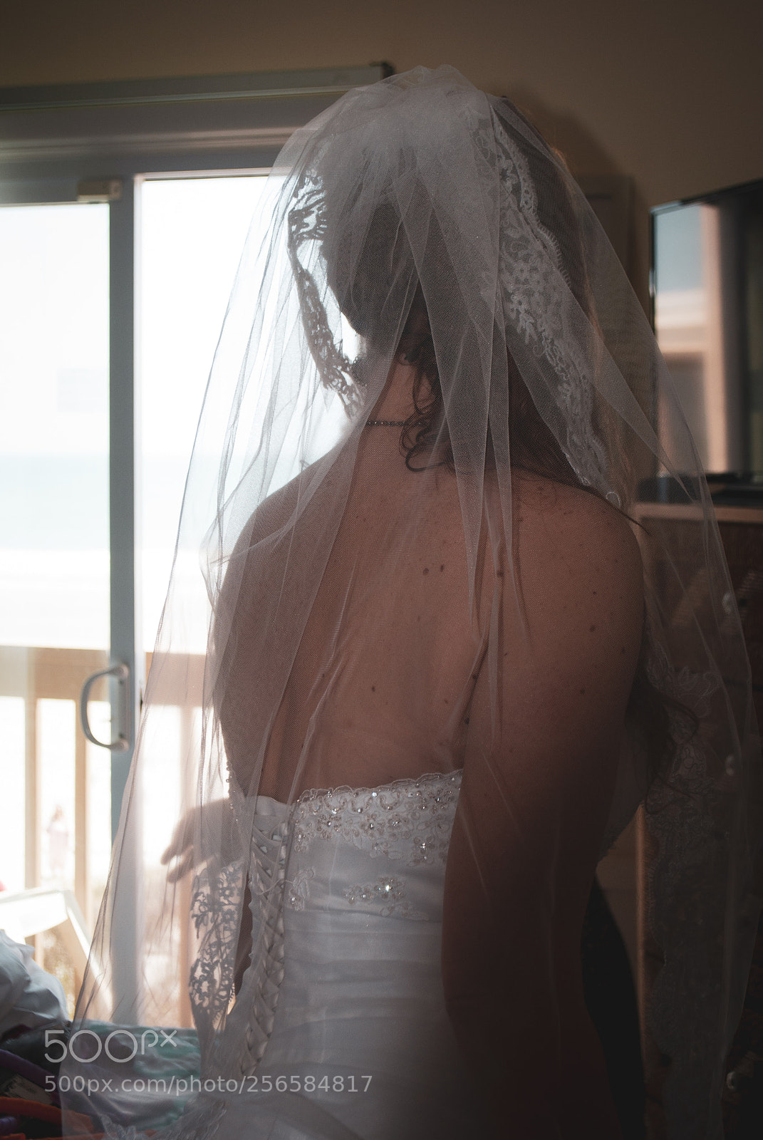 Nikon D3000 sample photo. Untitled photography