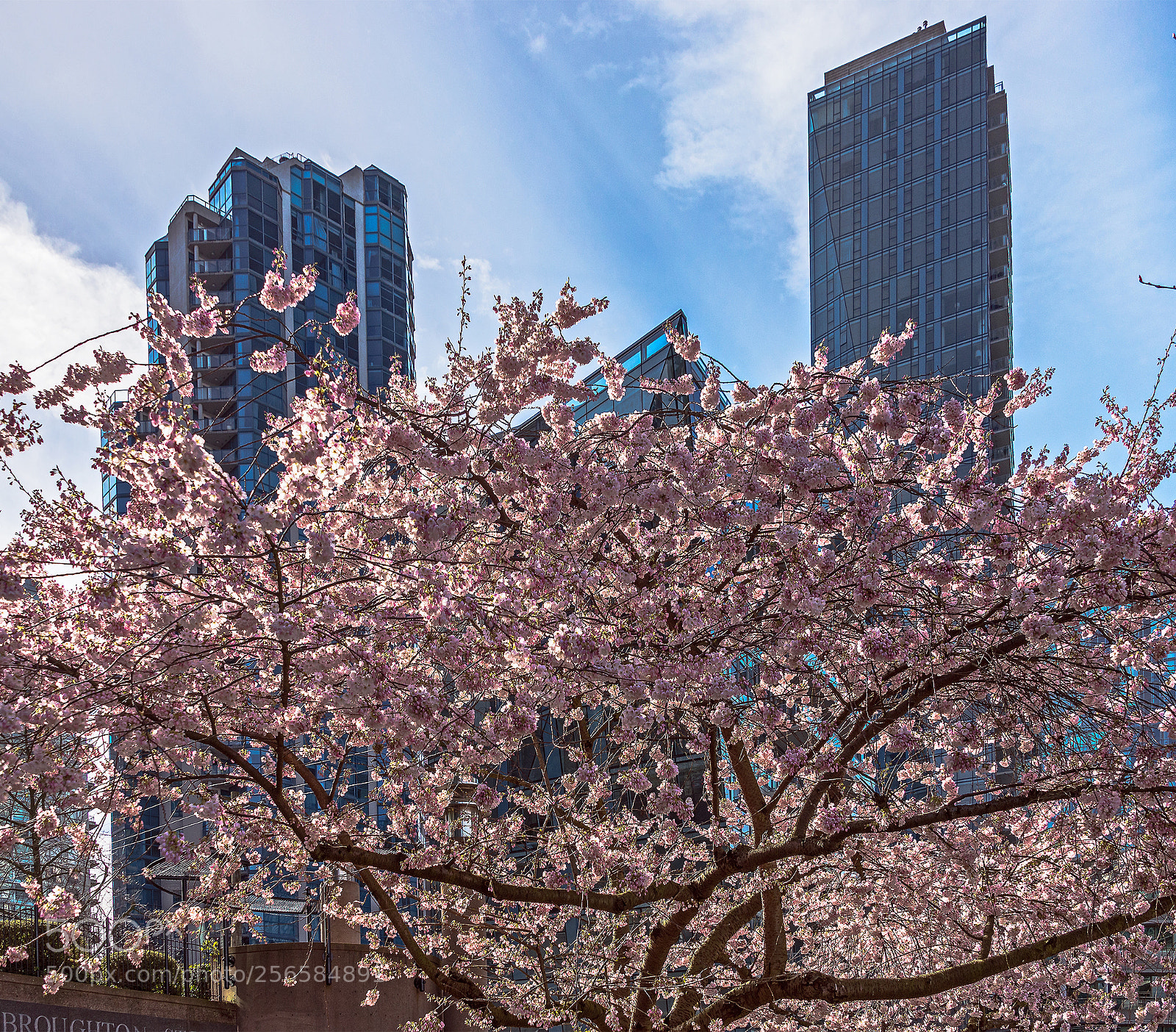 Nikon D610 sample photo. Spring in downtown vancouver photography