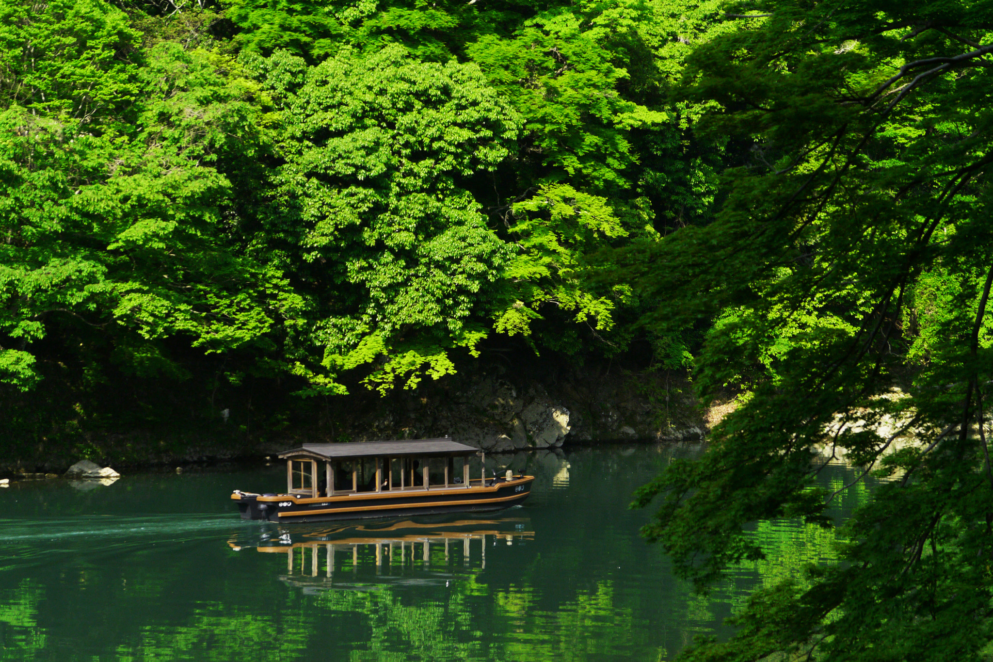 Panasonic Lumix DMC-GX1 sample photo. Spring in kyoto photography